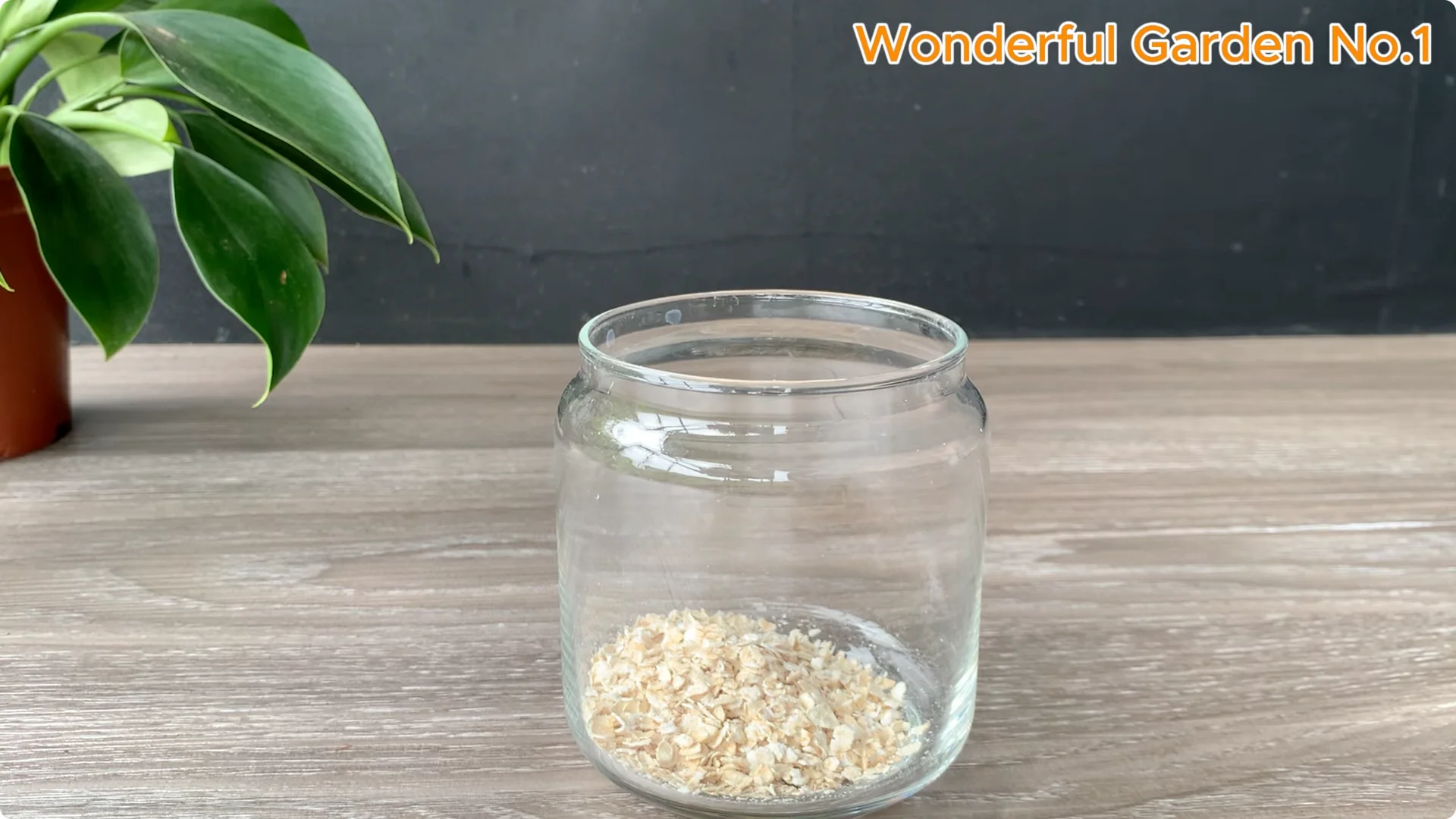 How 1 Spoon Helps Rose Branches Grow and Bloom Quickly screenshot 2