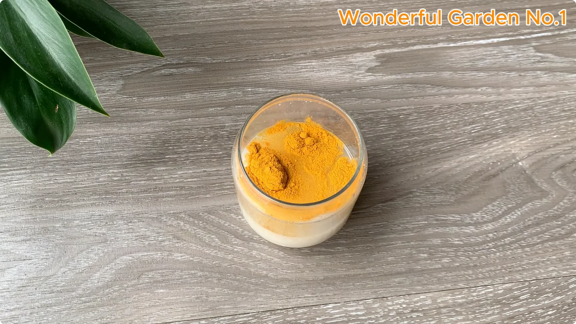 How 1 Spoon Helps Rose Branches Grow and Bloom Quickly screenshot 3