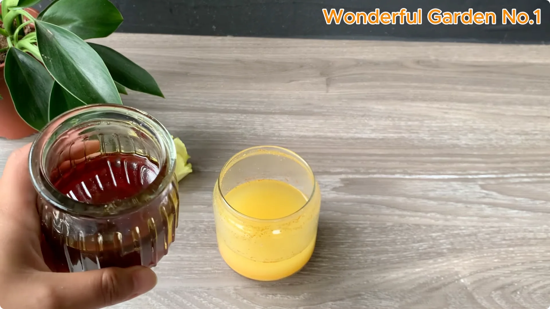 How 1 Spoon Helps Rose Branches Grow and Bloom Quickly screenshot 5