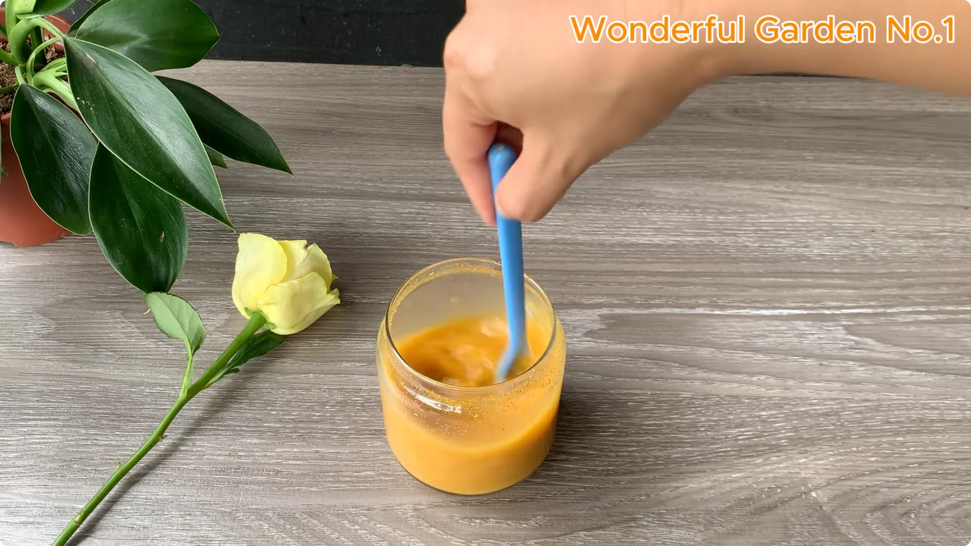 How 1 Spoon Helps Rose Branches Grow and Bloom Quickly screenshot 6