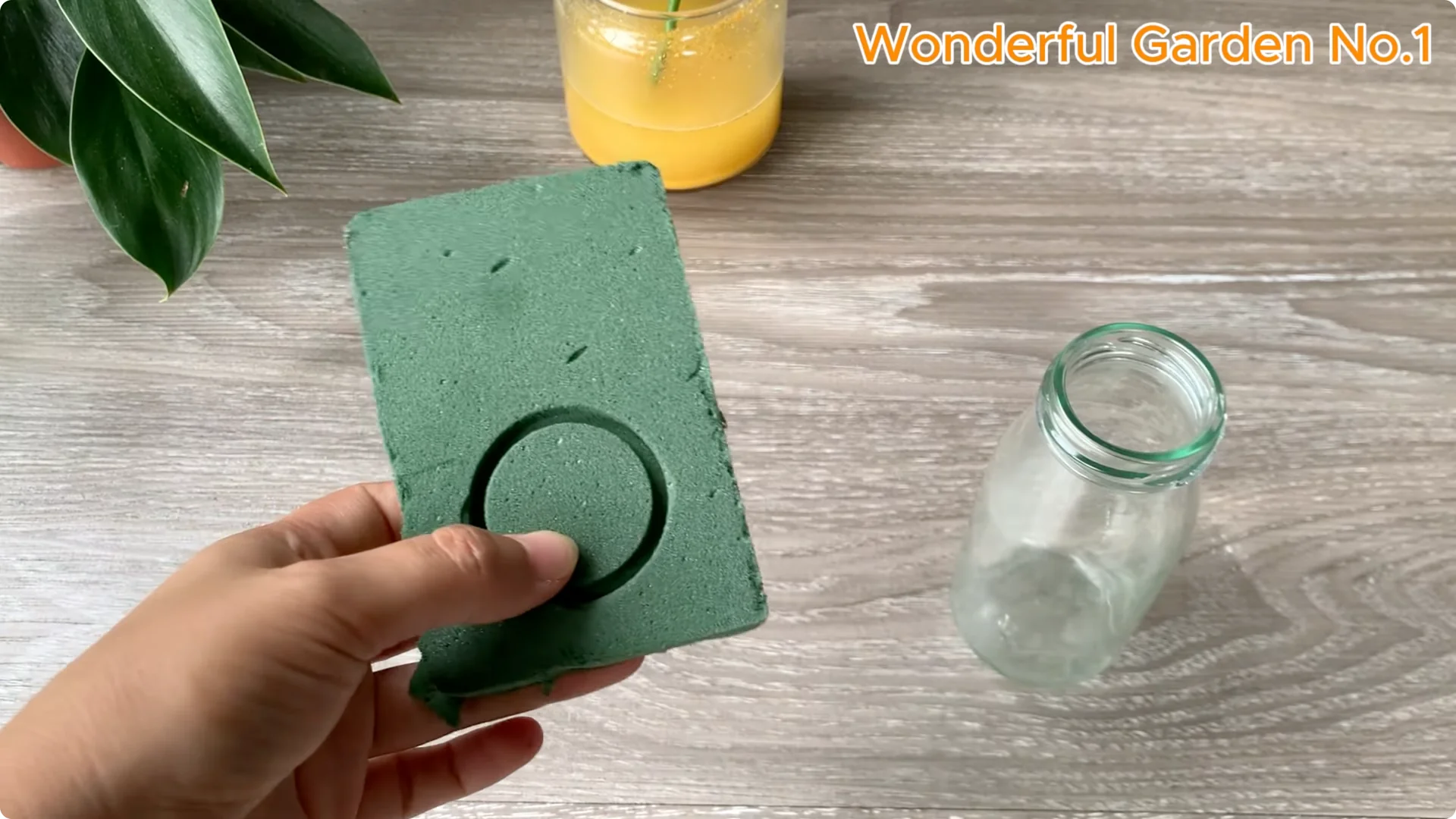 How 1 Spoon Helps Rose Branches Grow and Bloom Quickly screenshot 8