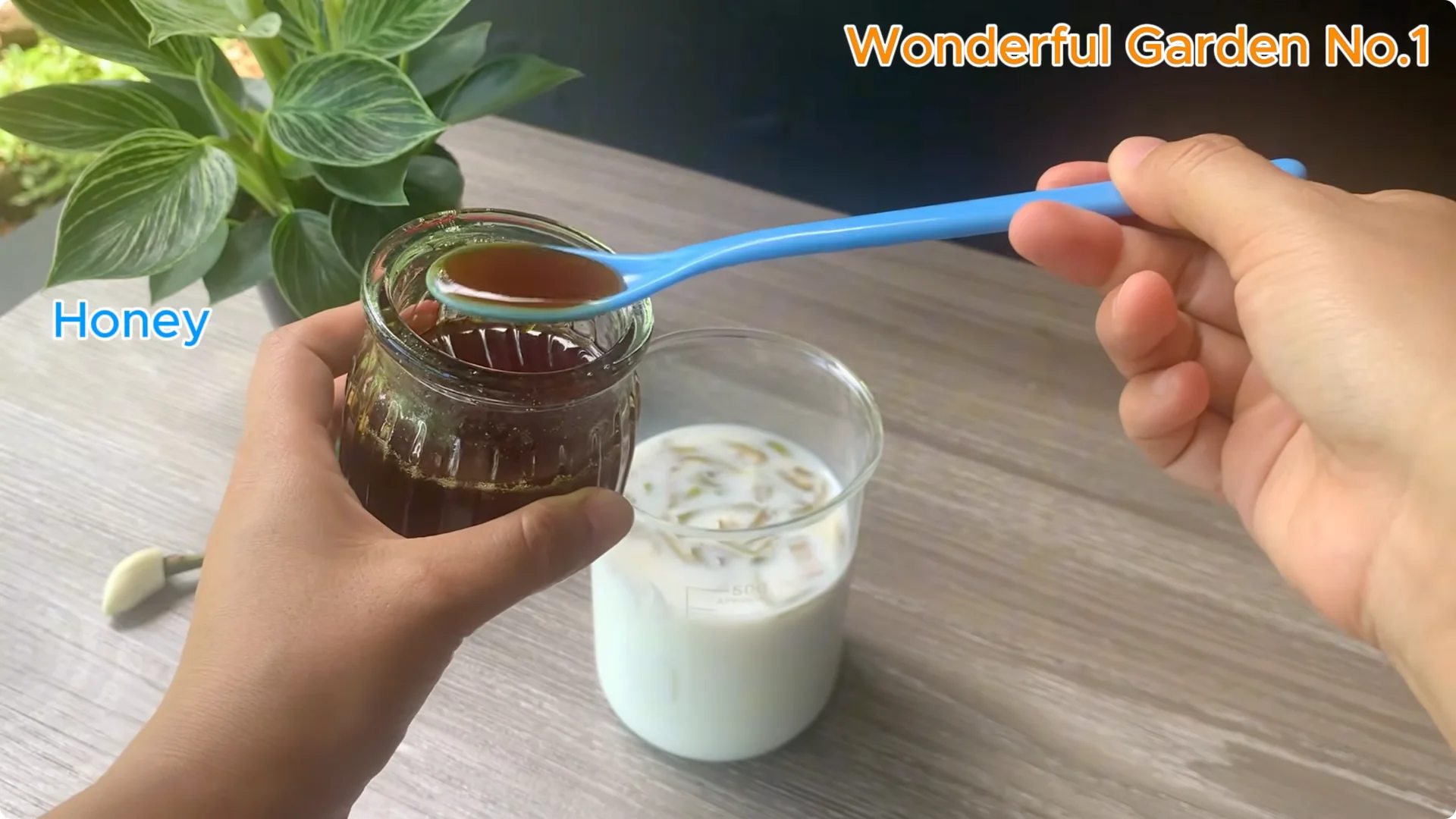 How Just 1 Cup Helps Rose Cuttings Root and Bloom Year-Round screenshot 7