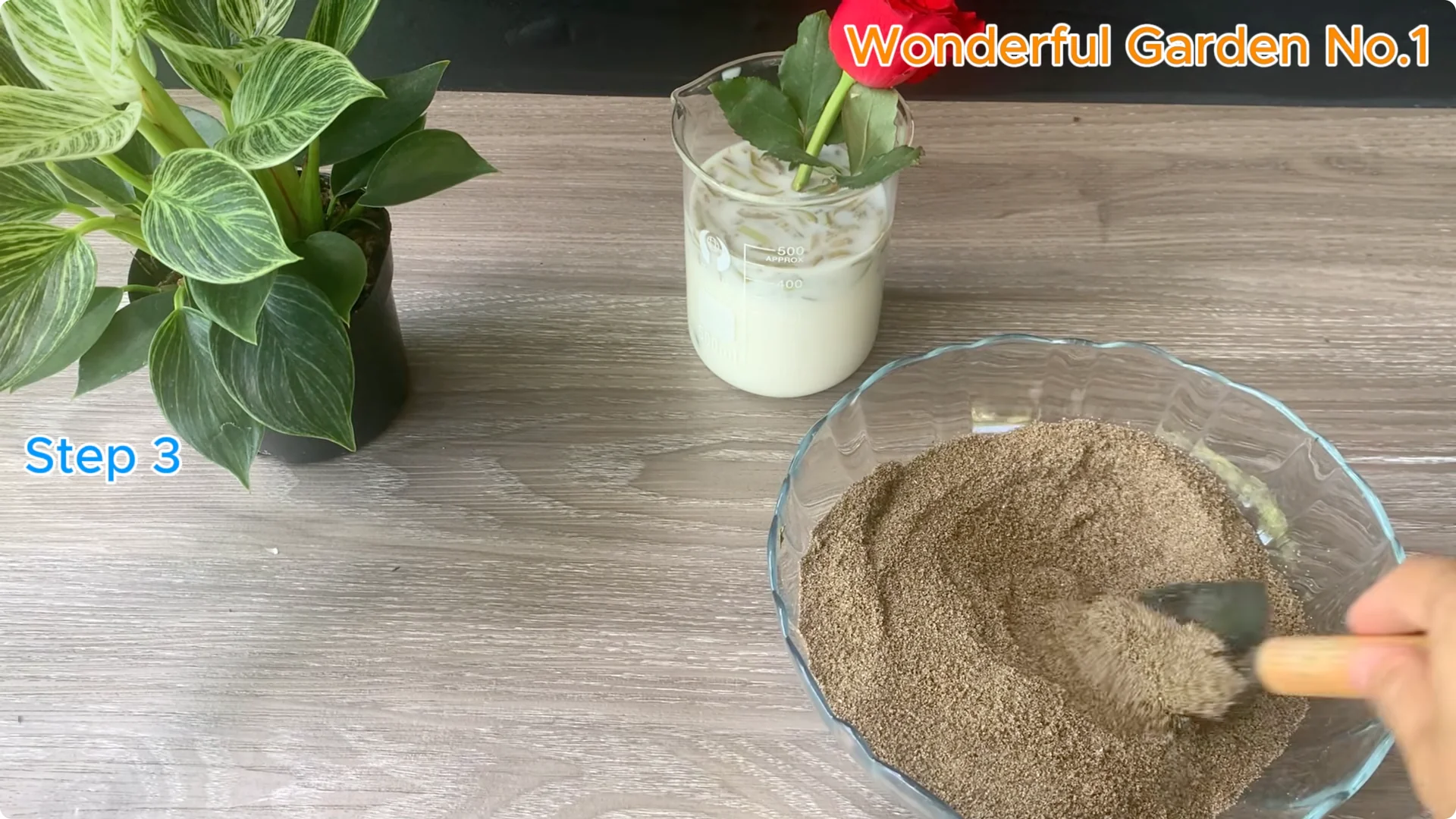 How Just 1 Cup Helps Rose Cuttings Root and Bloom Year-Round screenshot 9