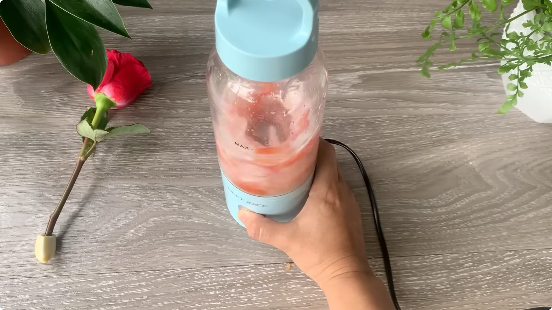 How Onion Water Sparks 100 Roots on a Rose Stem Overnight screenshot 10