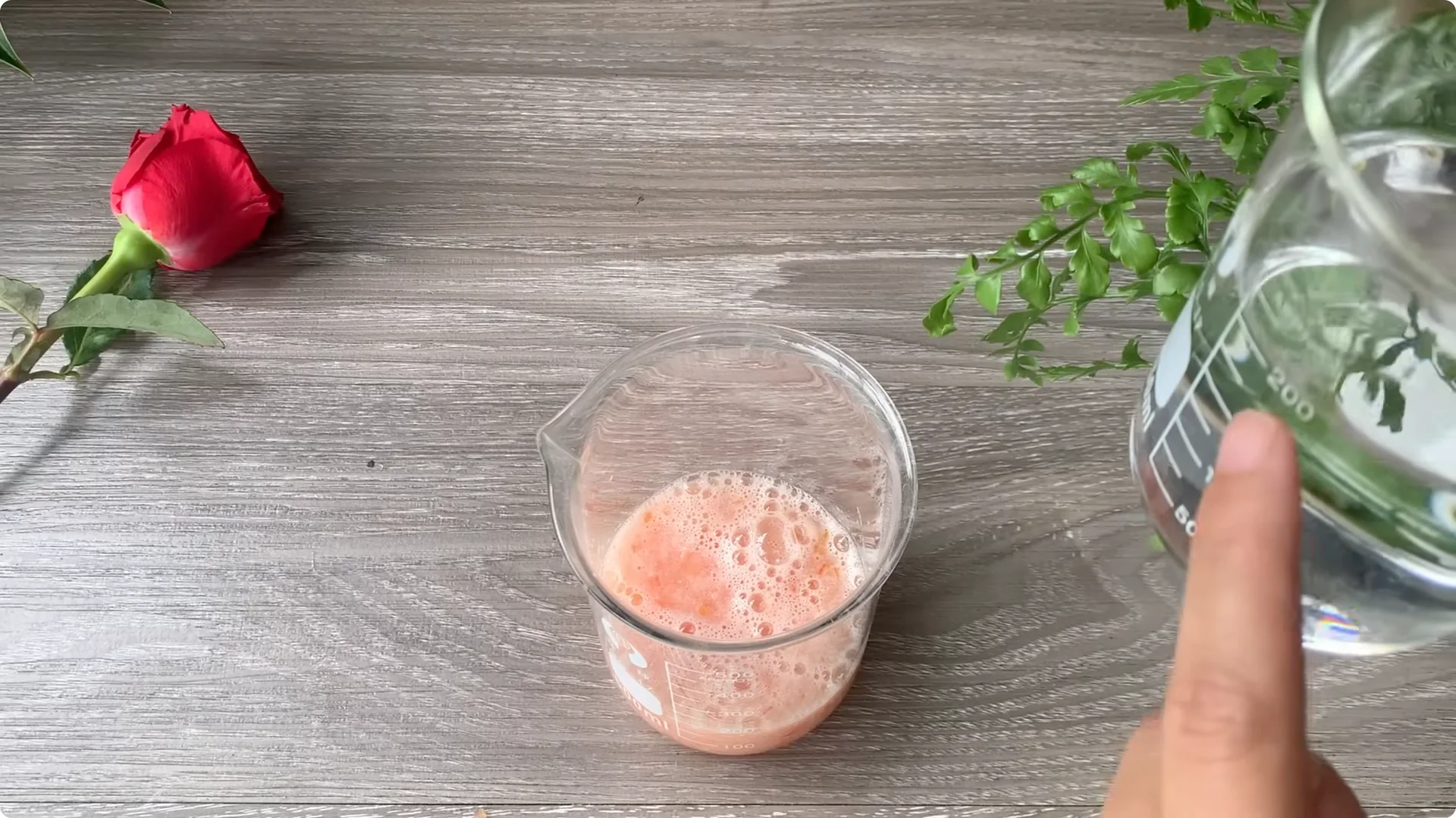 How Onion Water Sparks 100 Roots on a Rose Stem Overnight screenshot 11