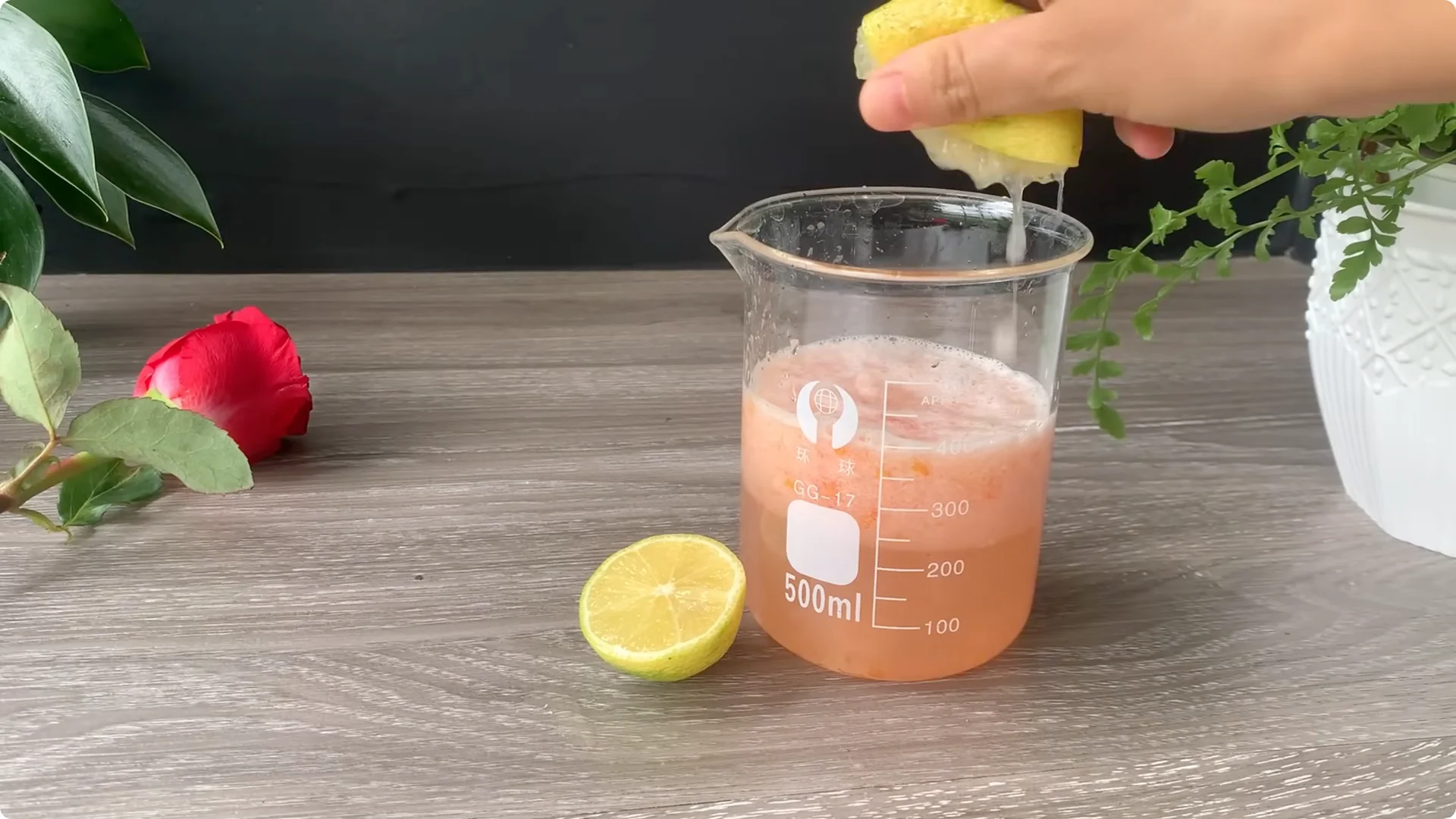 How Onion Water Sparks 100 Roots on a Rose Stem Overnight screenshot 12