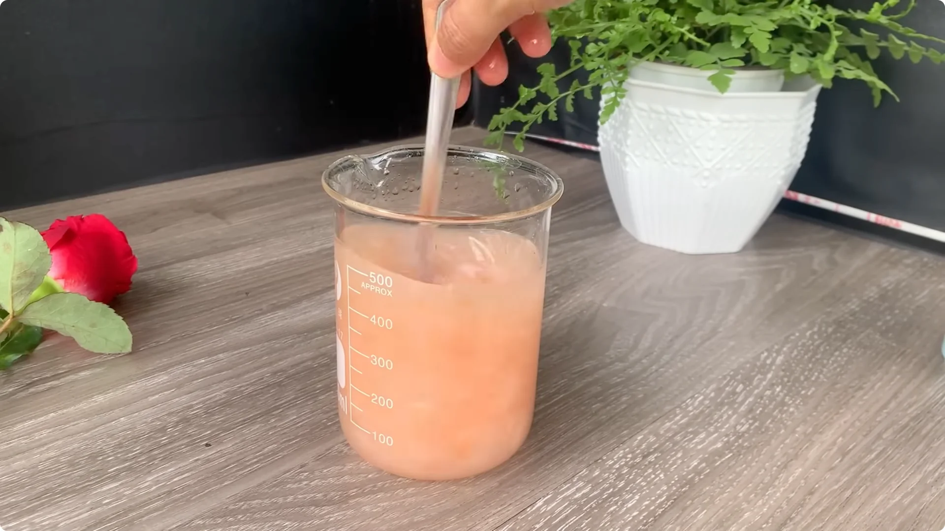 How Onion Water Sparks 100 Roots on a Rose Stem Overnight screenshot 13