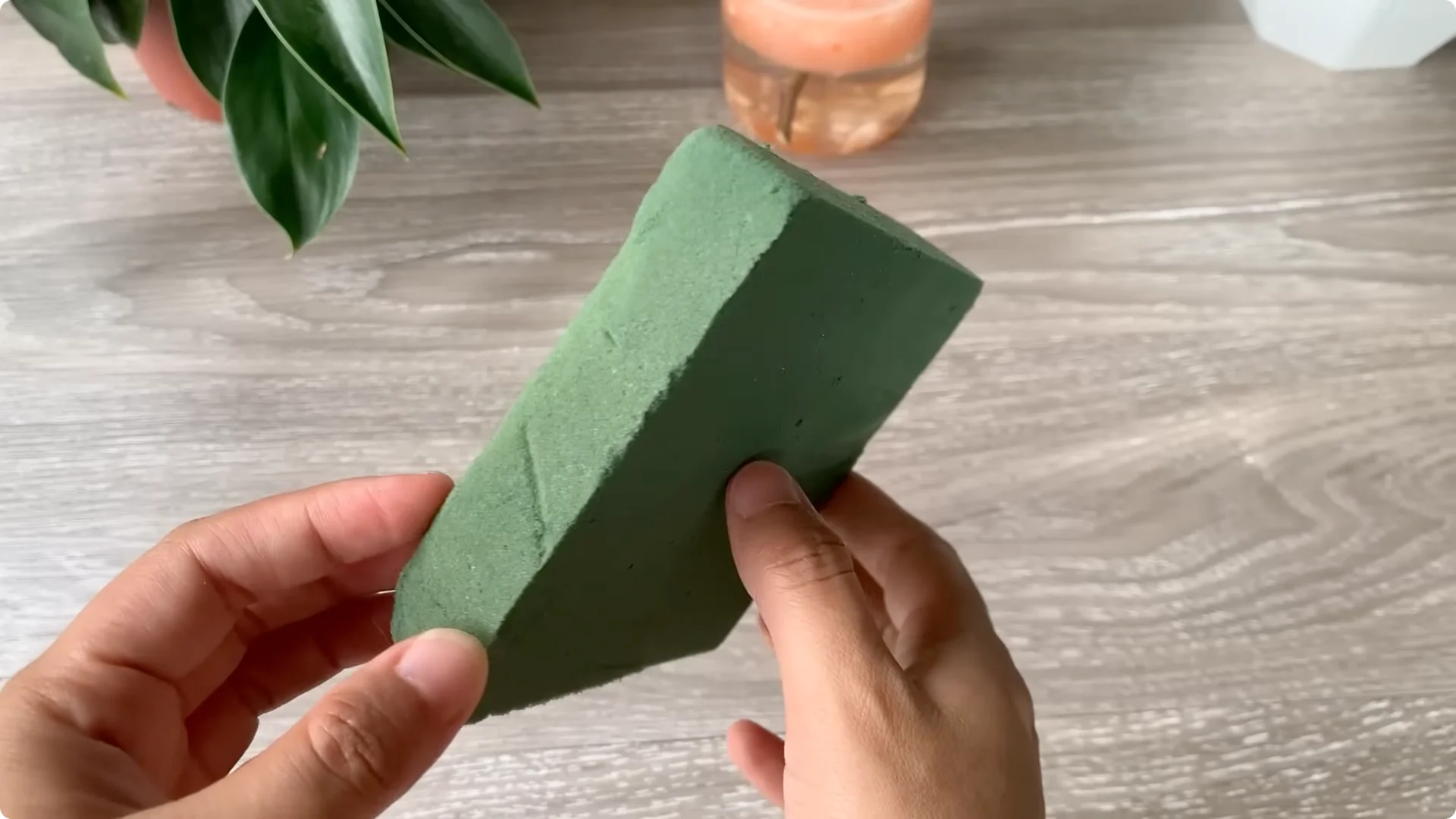 How Onion Water Sparks 100 Roots on a Rose Stem Overnight screenshot 15