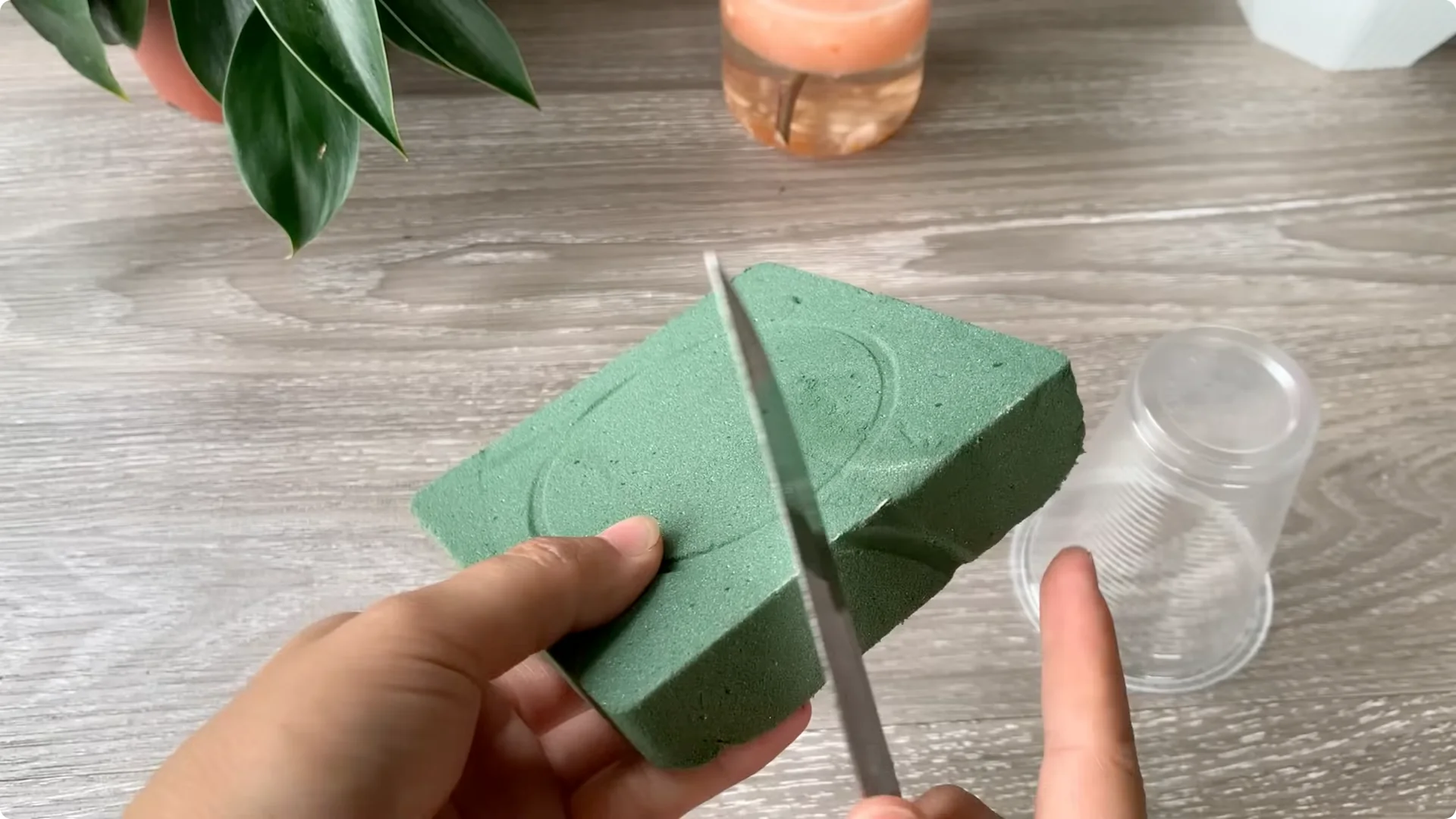 How Onion Water Sparks 100 Roots on a Rose Stem Overnight screenshot 16