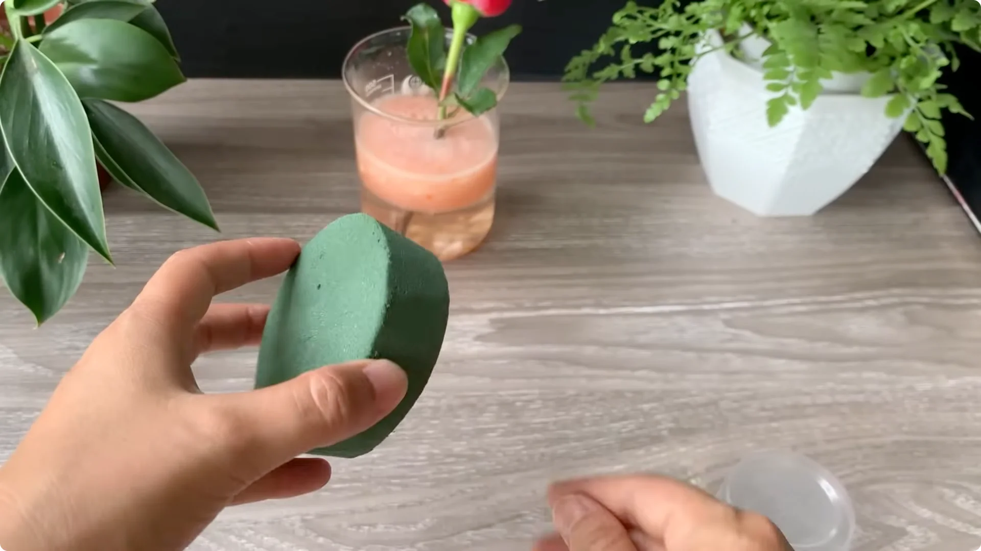 How Onion Water Sparks 100 Roots on a Rose Stem Overnight screenshot 17