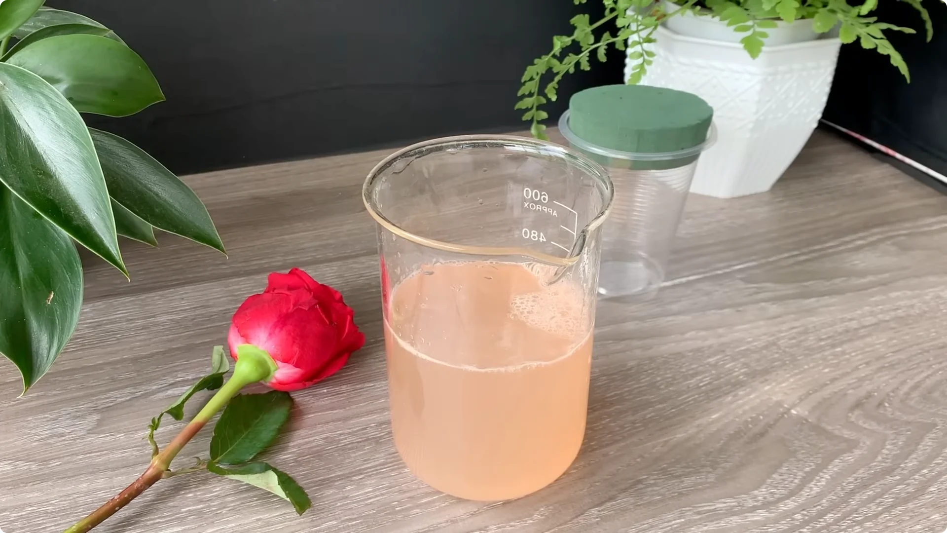 How Onion Water Sparks 100 Roots on a Rose Stem Overnight screenshot 19