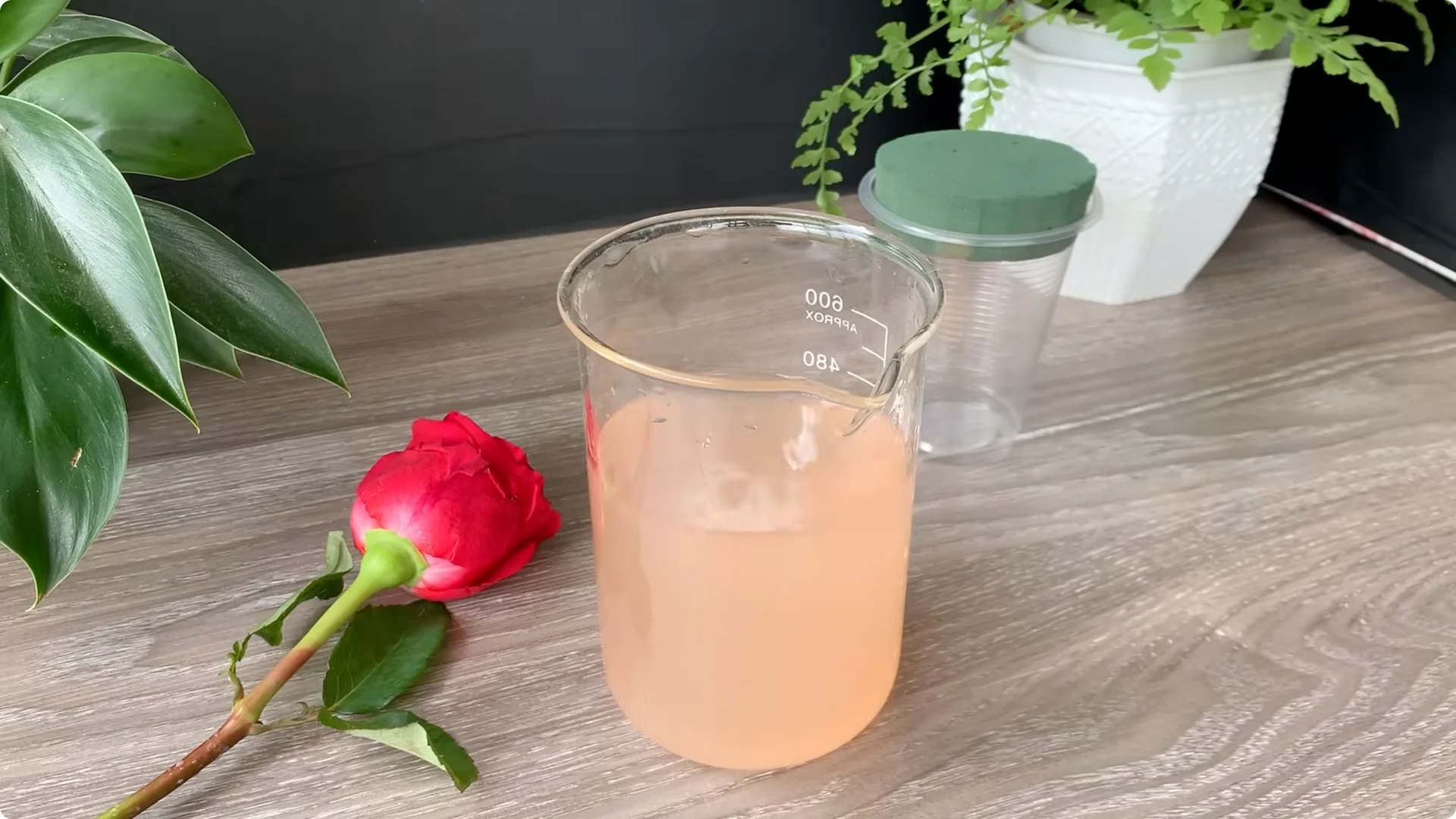 How Onion Water Sparks 100 Roots on a Rose Stem Overnight screenshot 20