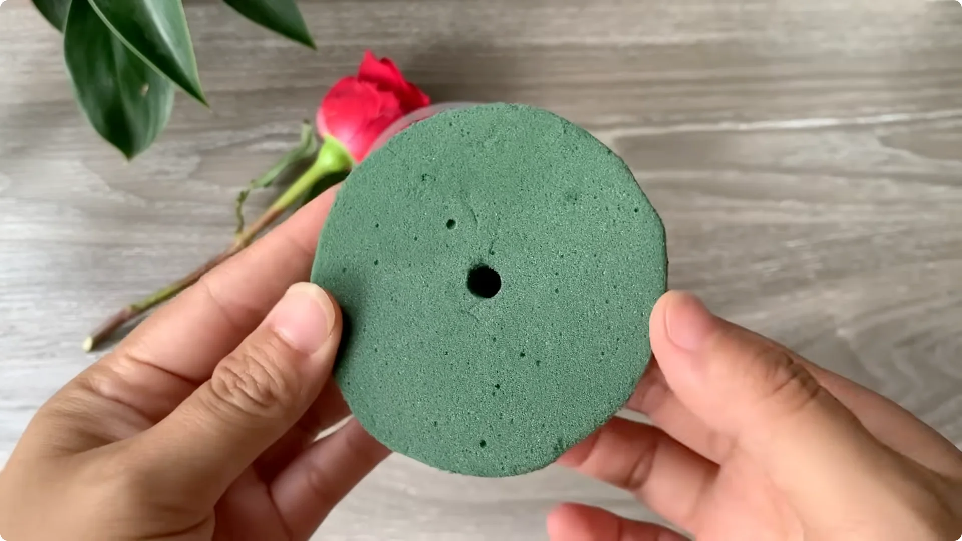 How Onion Water Sparks 100 Roots on a Rose Stem Overnight screenshot 21