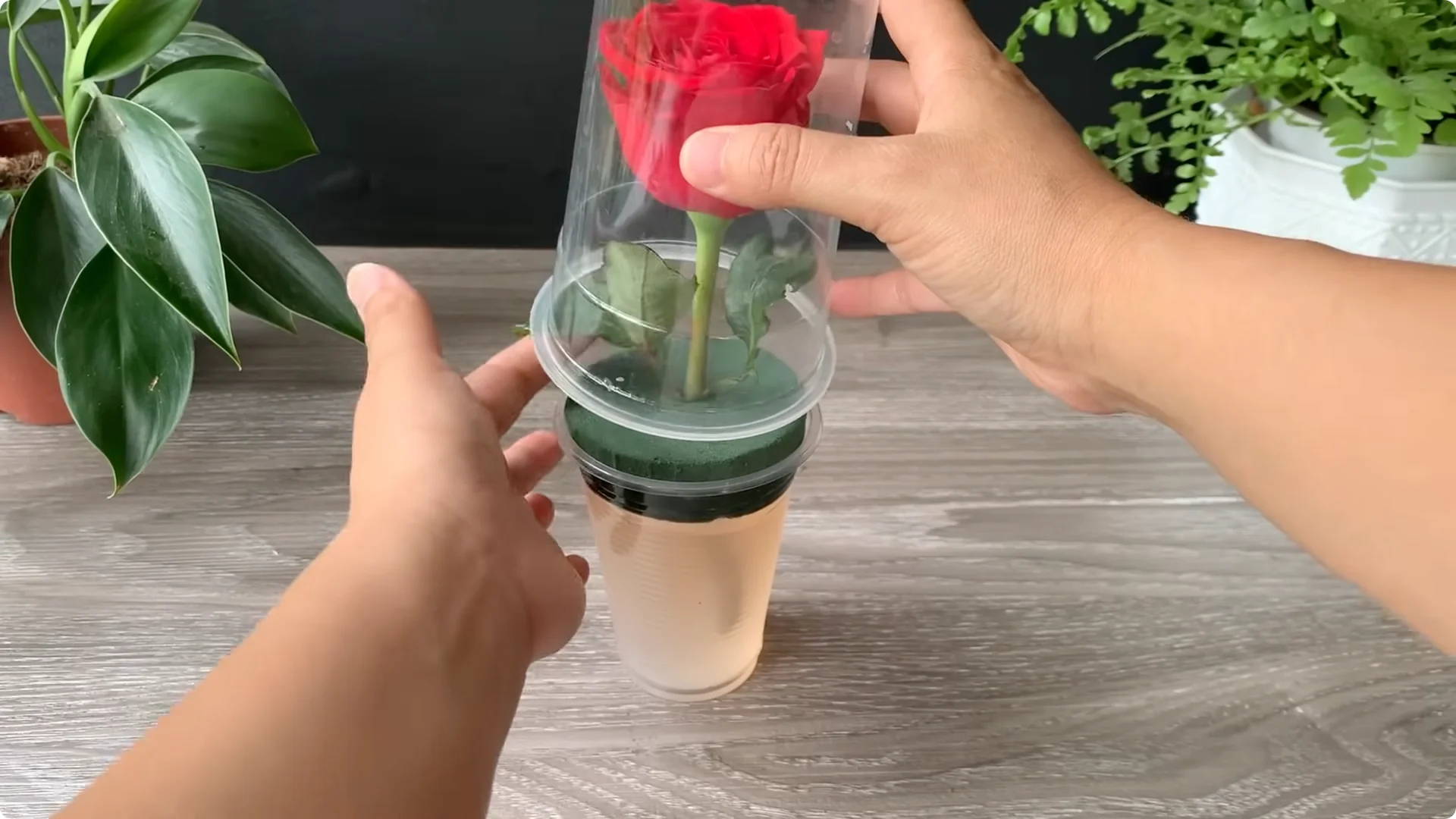 How Onion Water Sparks 100 Roots on a Rose Stem Overnight screenshot 25