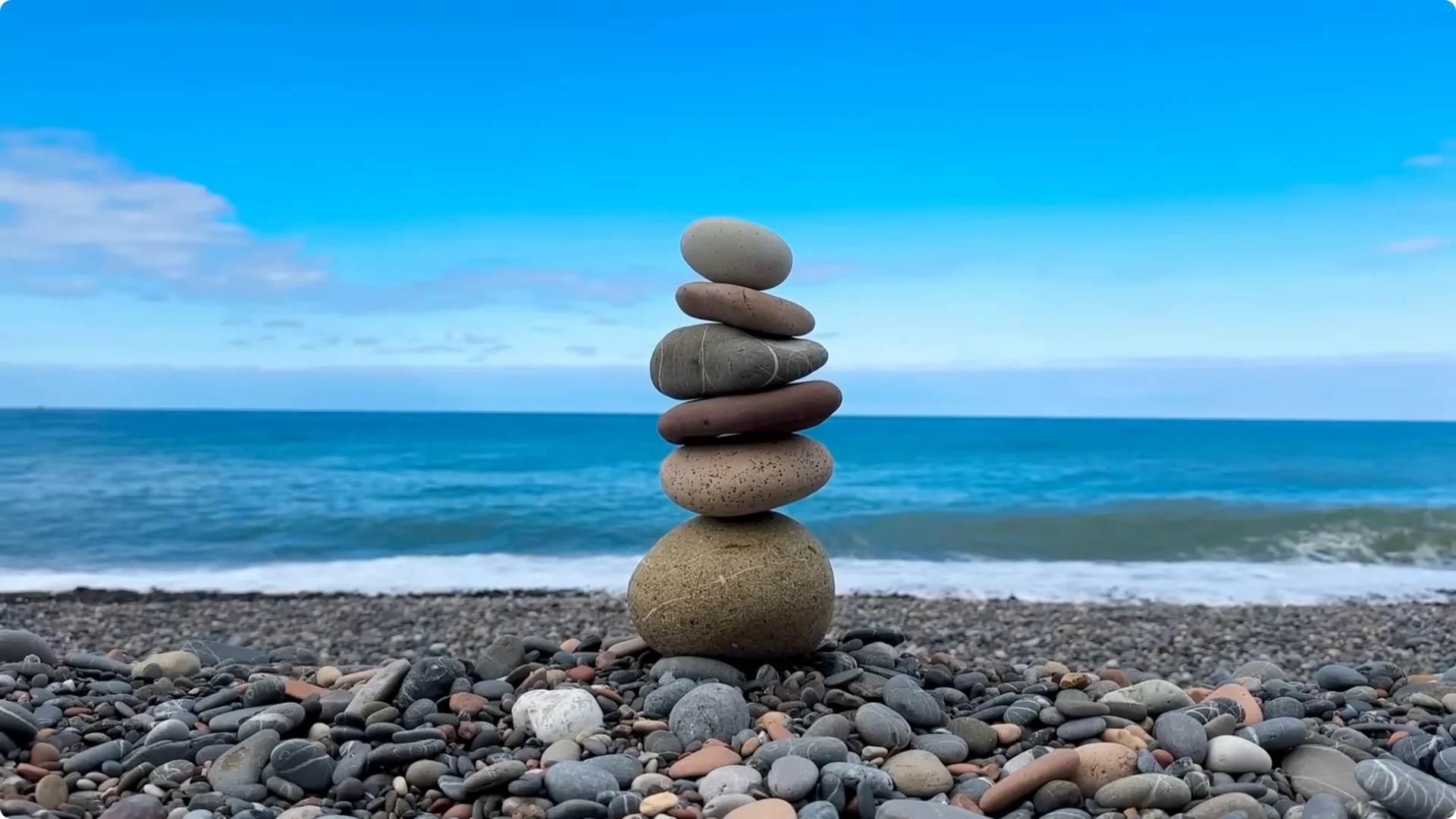 How Onion Water Sparks 100 Roots on a Rose Stem Overnight screenshot 29