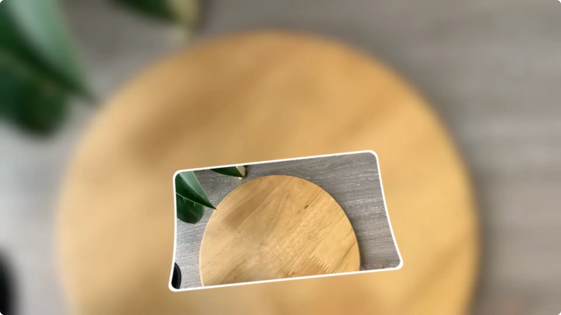 How Onion Water Sparks 100 Roots on a Rose Stem Overnight screenshot 6