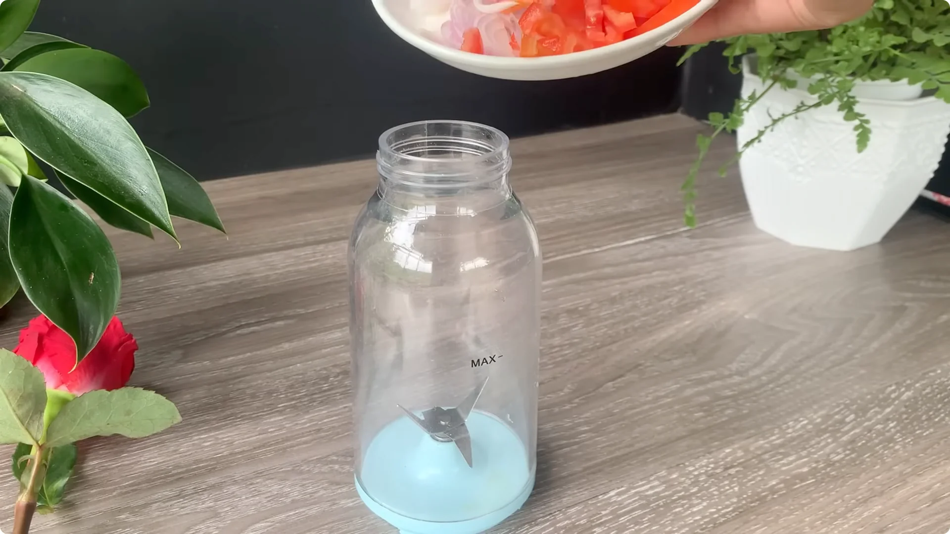 How Onion Water Sparks 100 Roots on a Rose Stem Overnight screenshot 9