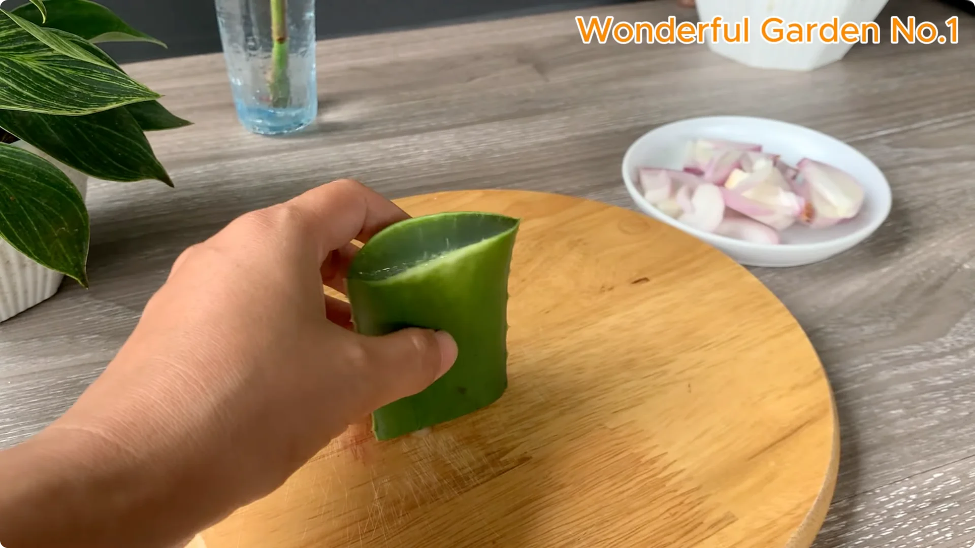 How Onions Help Roses Grow Faster and Bloom Longer screenshot 3