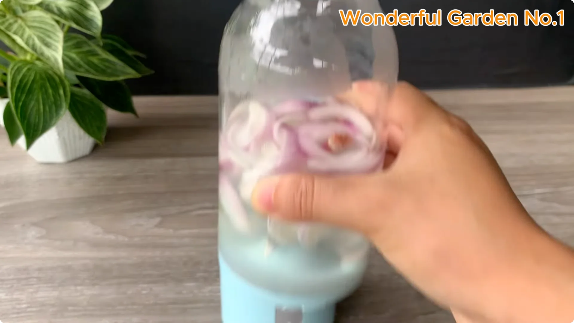 How Onions Help Roses Grow Faster and Bloom Longer screenshot 4