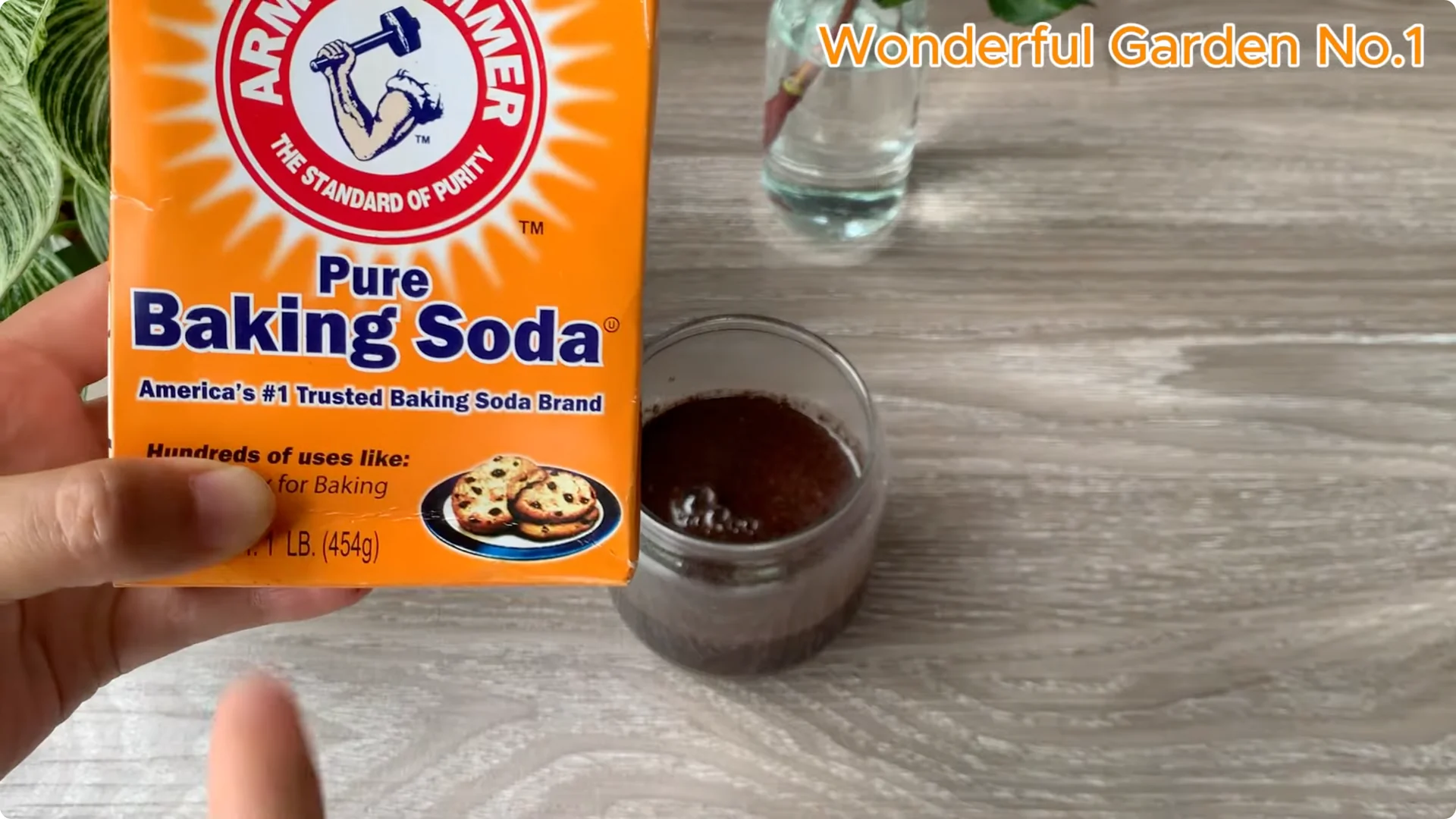 How Rose Branches Root Quickly and Bloom Abundantly screenshot 2