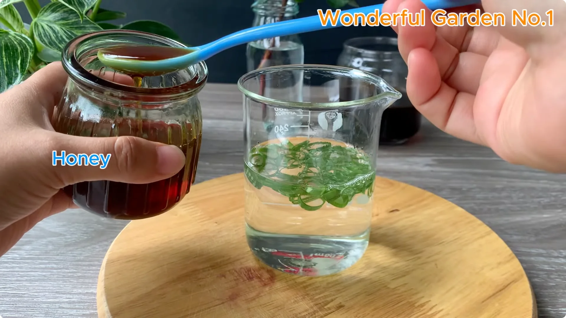 How Rose Branches Root Quickly and Bloom Abundantly screenshot 3