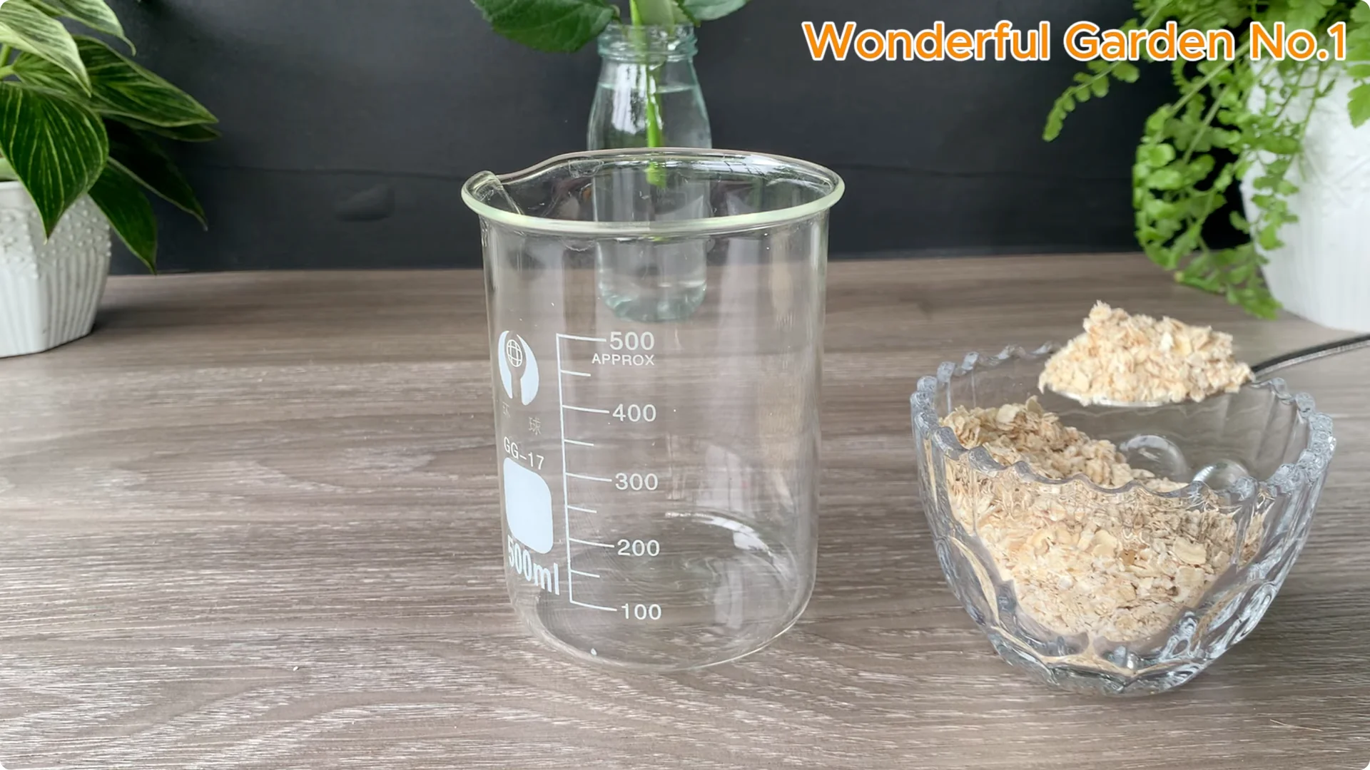 How Soaking Rose Cuttings Sparks Year-Round Blooms screenshot 5