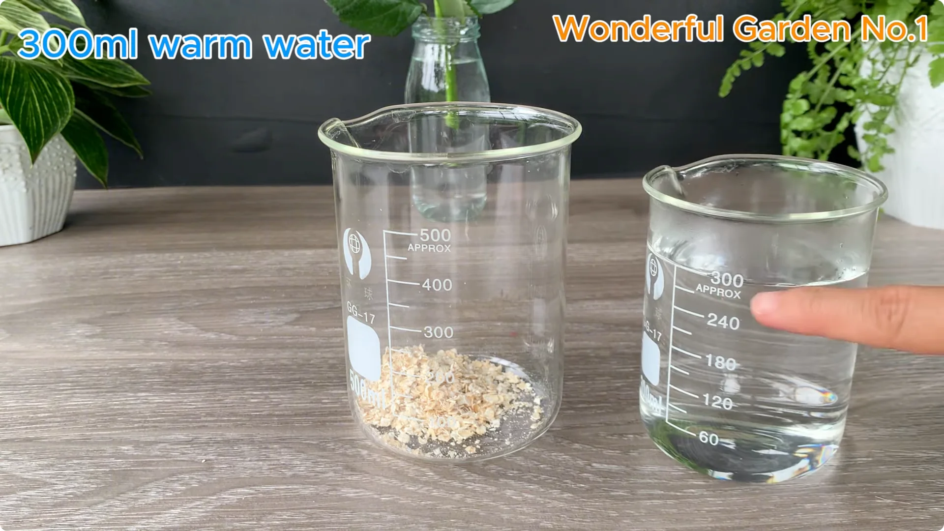 How Soaking Rose Cuttings Sparks Year-Round Blooms screenshot 6