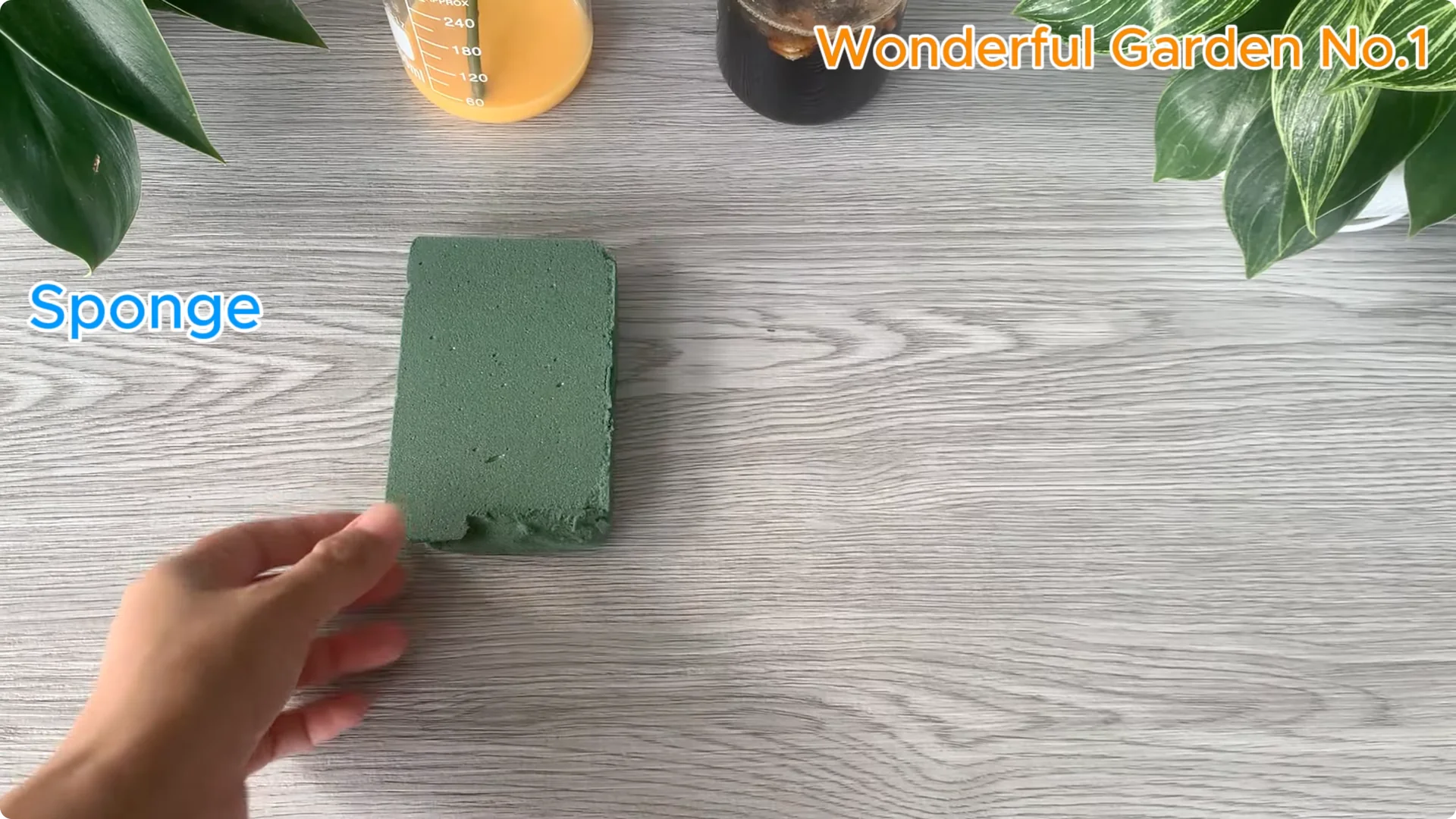 How This Simple Trick Makes Rose Branches Root and Bloom Year-Round screenshot 11