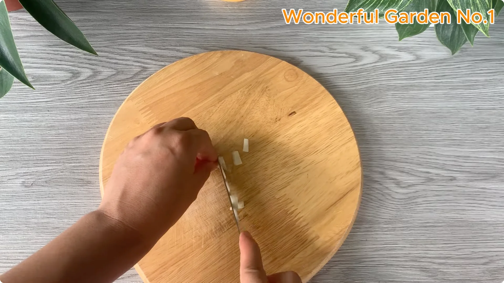 How This Simple Trick Makes Rose Branches Root and Bloom Year-Round screenshot 7