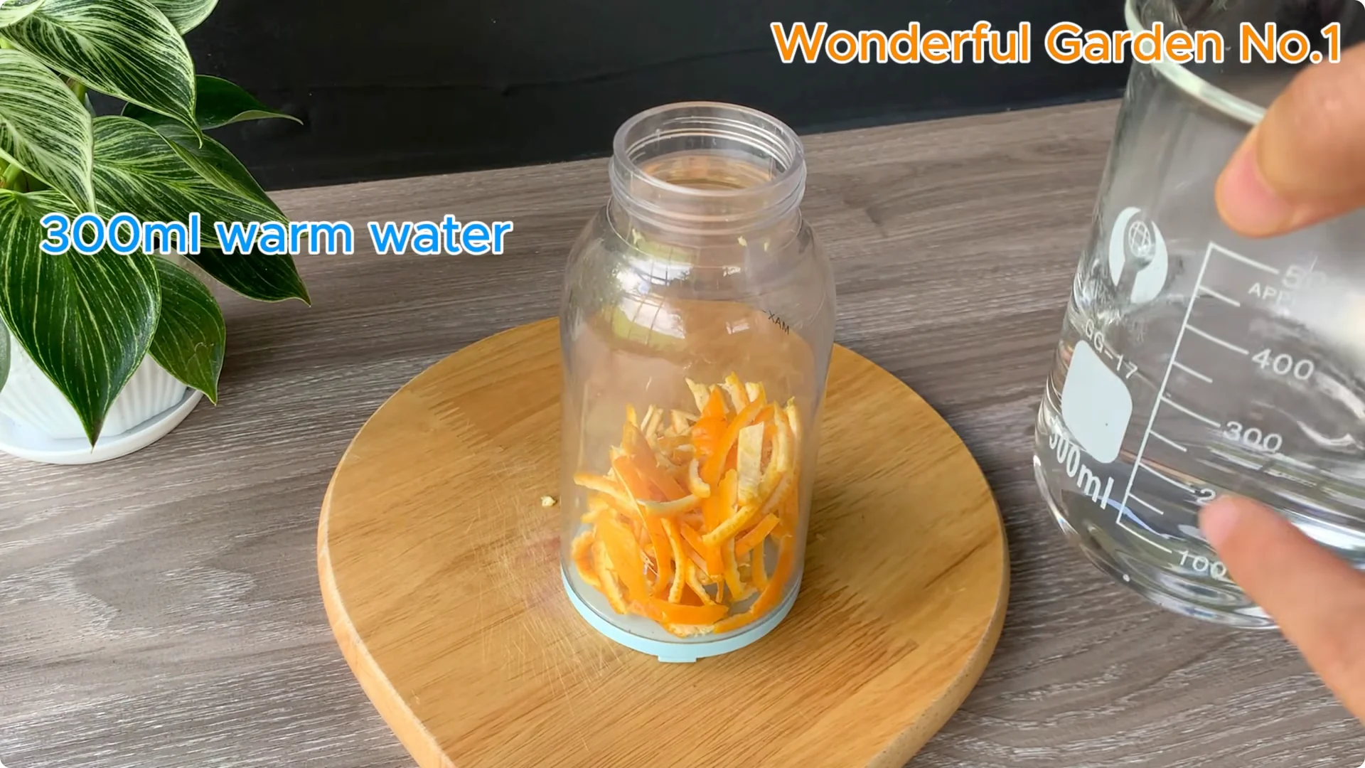 How This Water Creates 999 Rose Roots Overnight screenshot 1