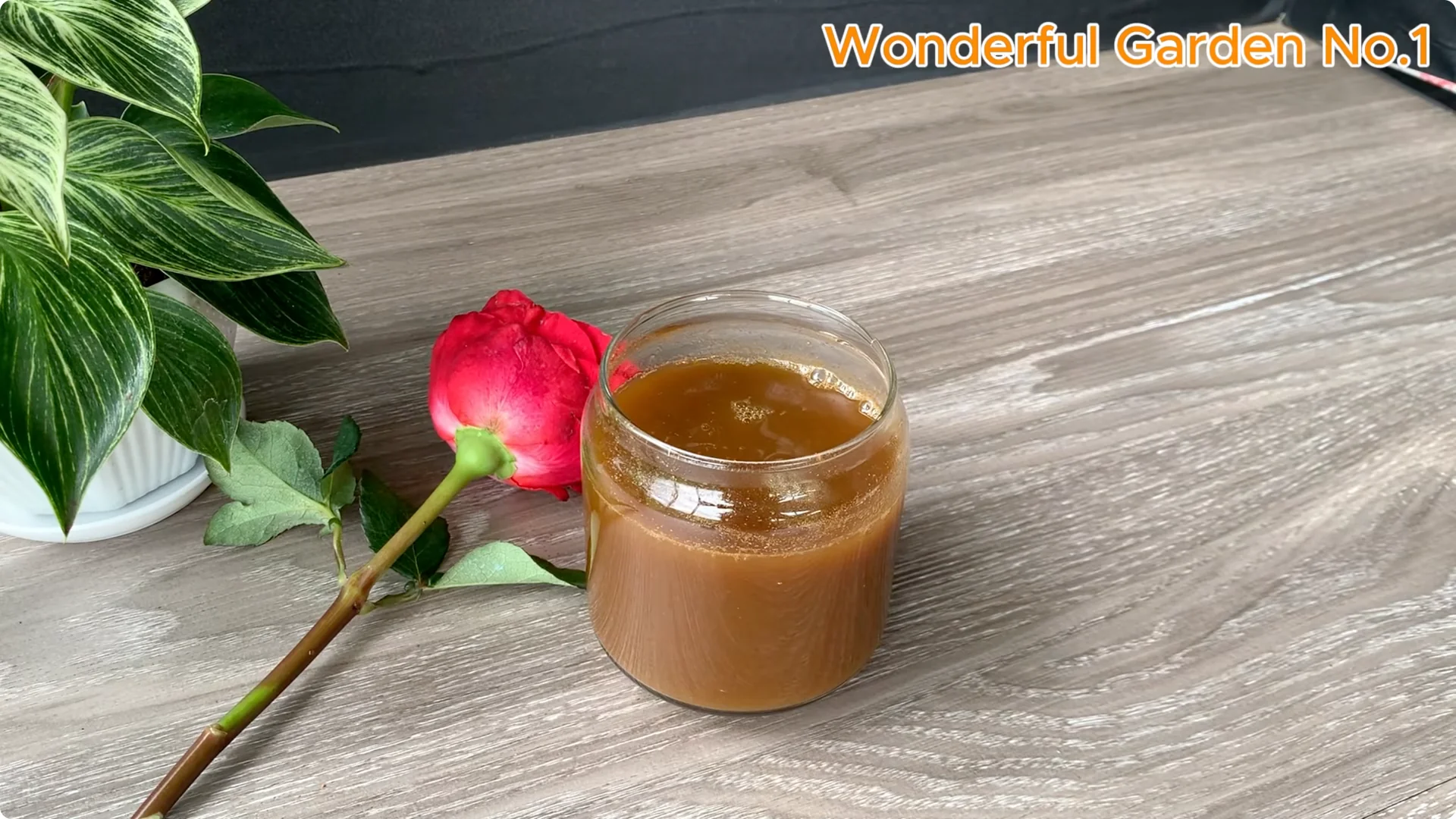 How This Water Creates 999 Rose Roots Overnight screenshot 6