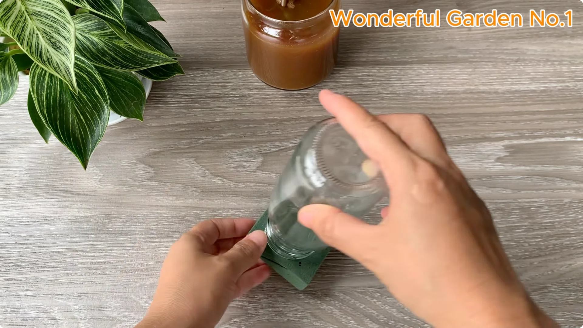 How This Water Creates 999 Rose Roots Overnight screenshot 7