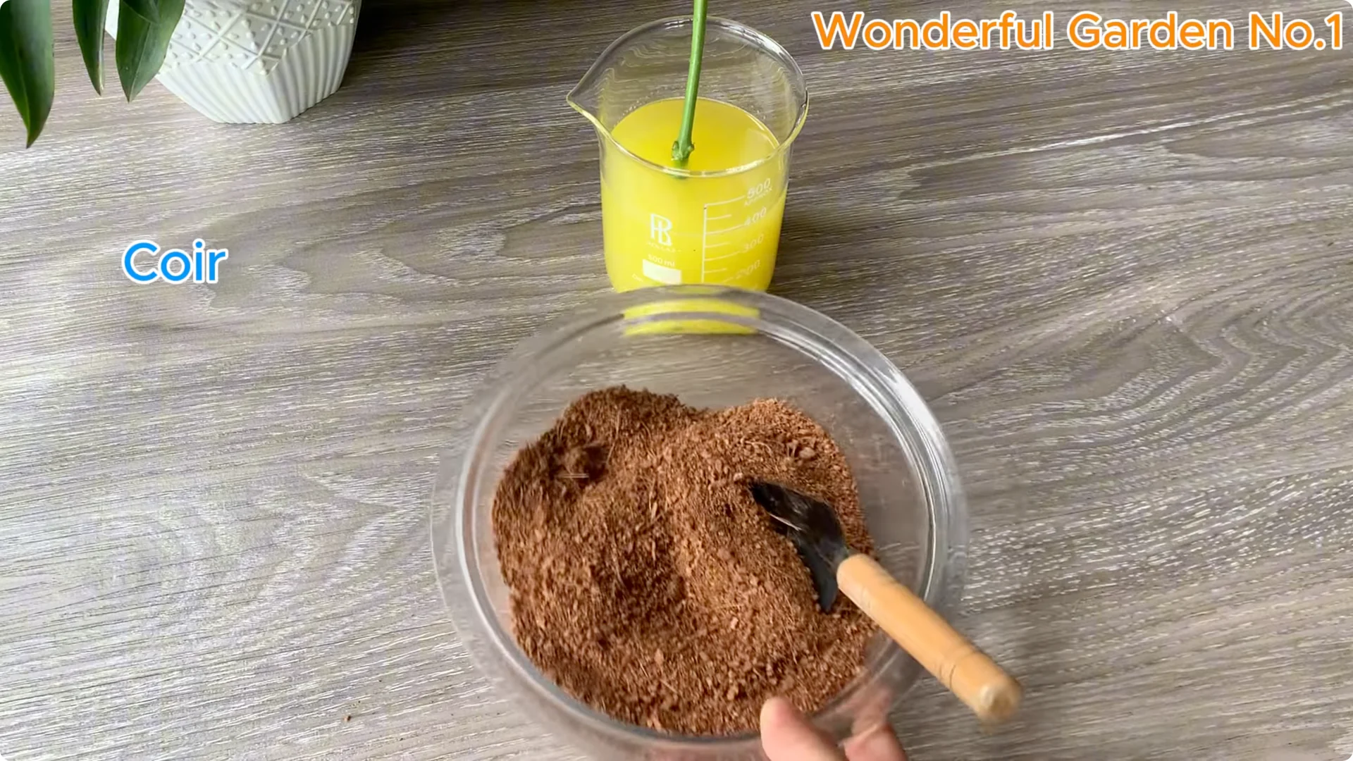 How to Grow 1001 Rose Roots from One Cutting Overnight screenshot 11