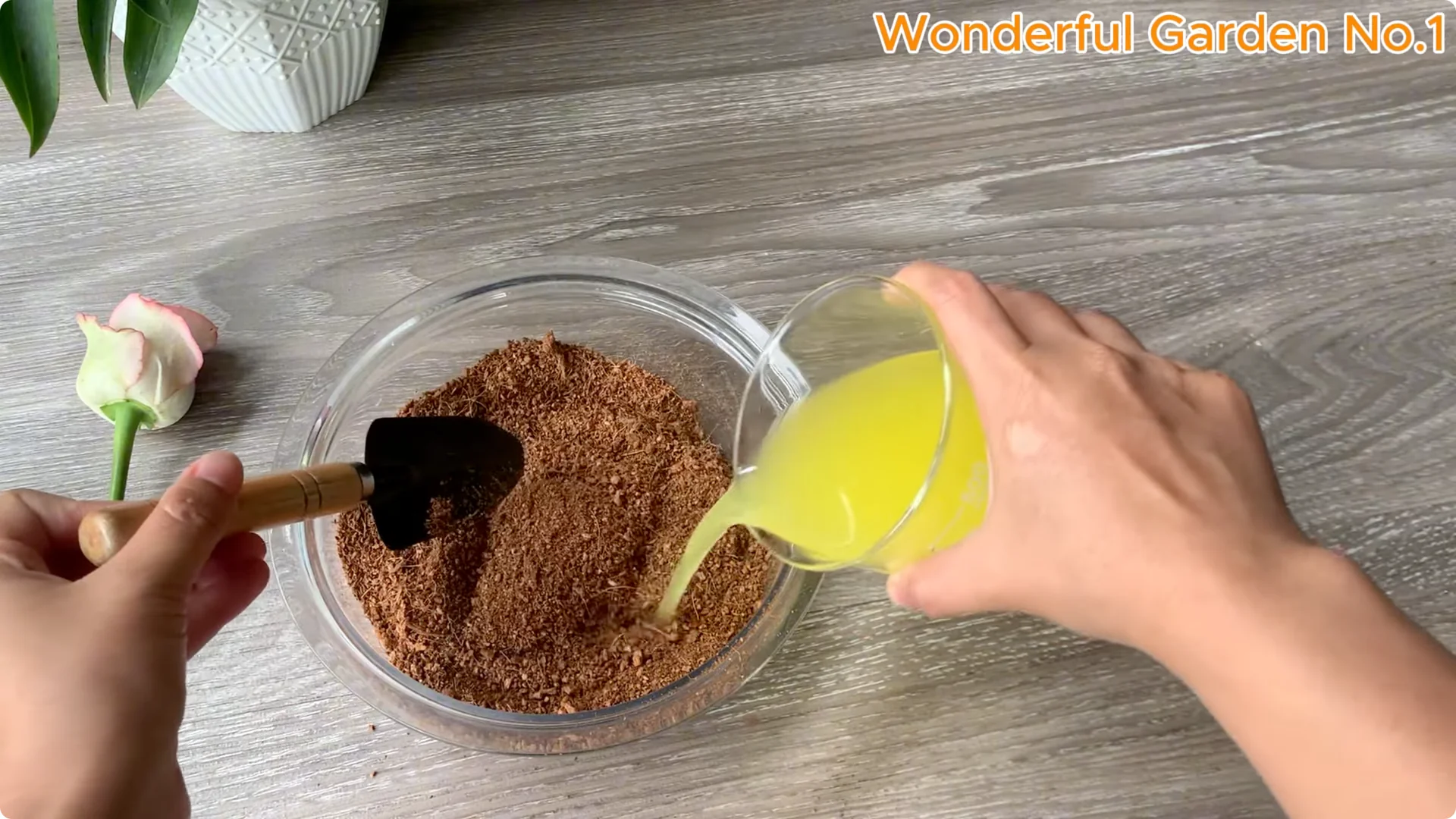 How to Grow 1001 Rose Roots from One Cutting Overnight screenshot 12