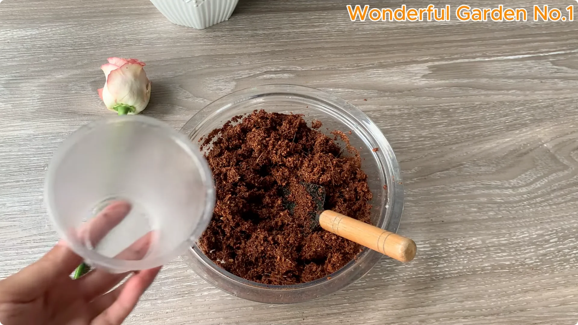 How to Grow 1001 Rose Roots from One Cutting Overnight screenshot 13