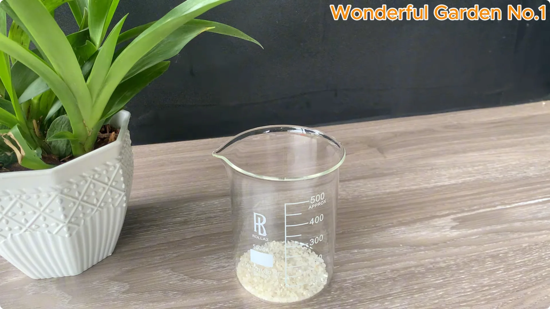 How to Grow 1001 Rose Roots from One Cutting Overnight screenshot 2