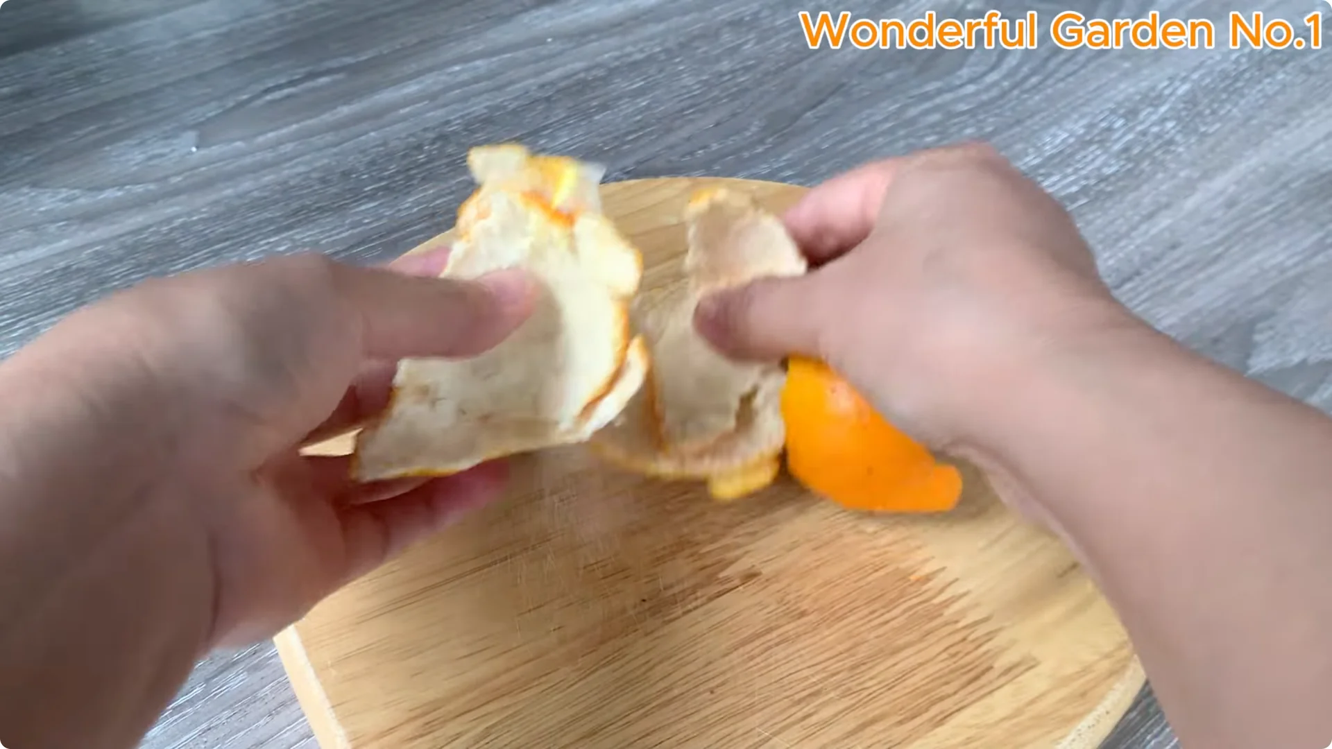 How to Grow 1001 Rose Roots from One Cutting Overnight screenshot 3