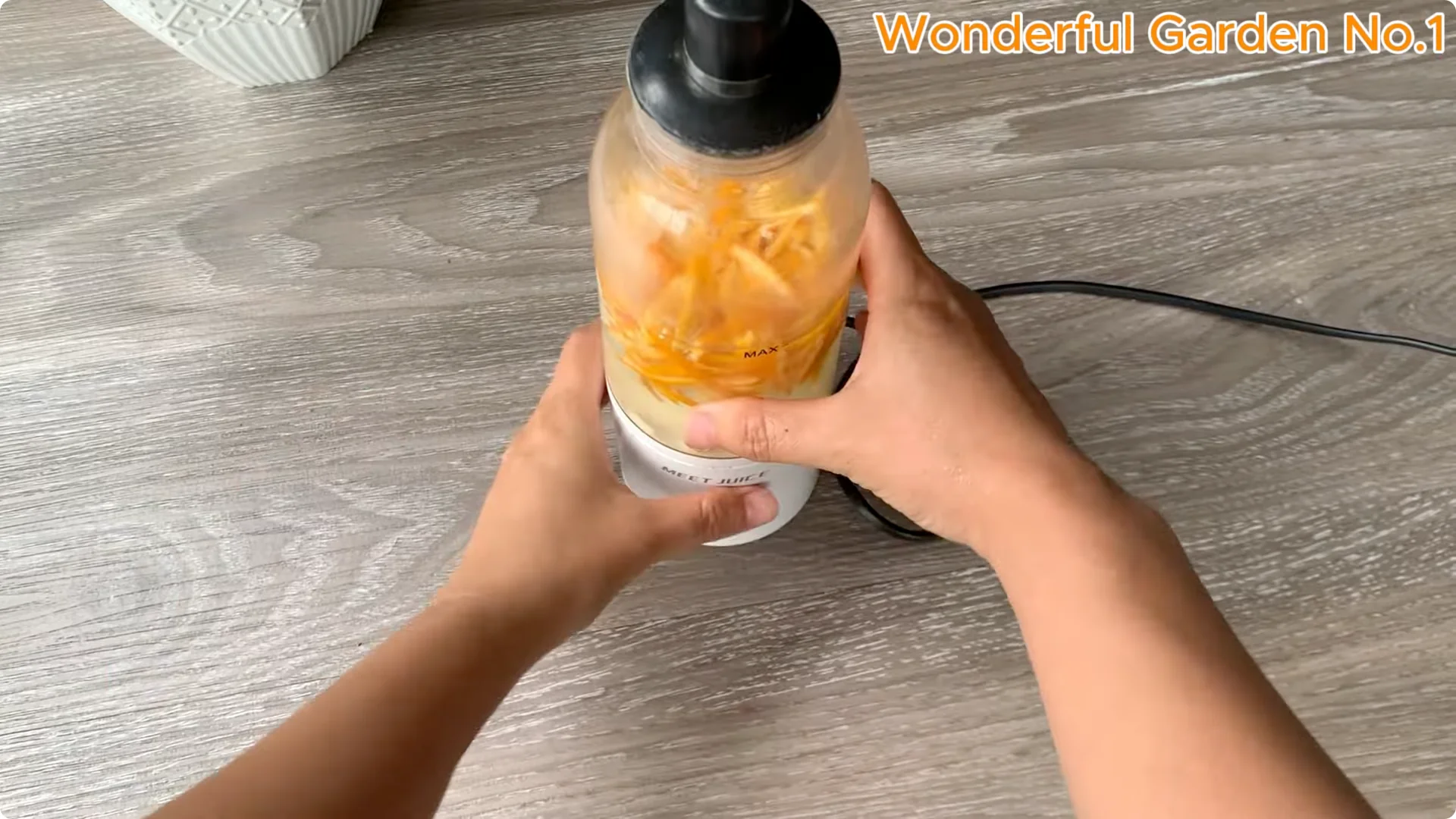 How to Grow 1001 Rose Roots from One Cutting Overnight screenshot 4