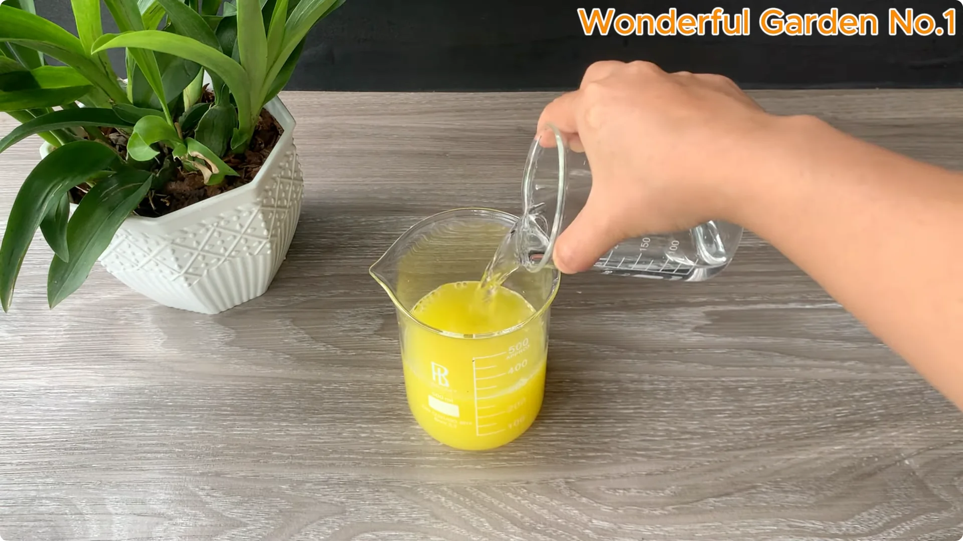 How to Grow 1001 Rose Roots from One Cutting Overnight screenshot 5