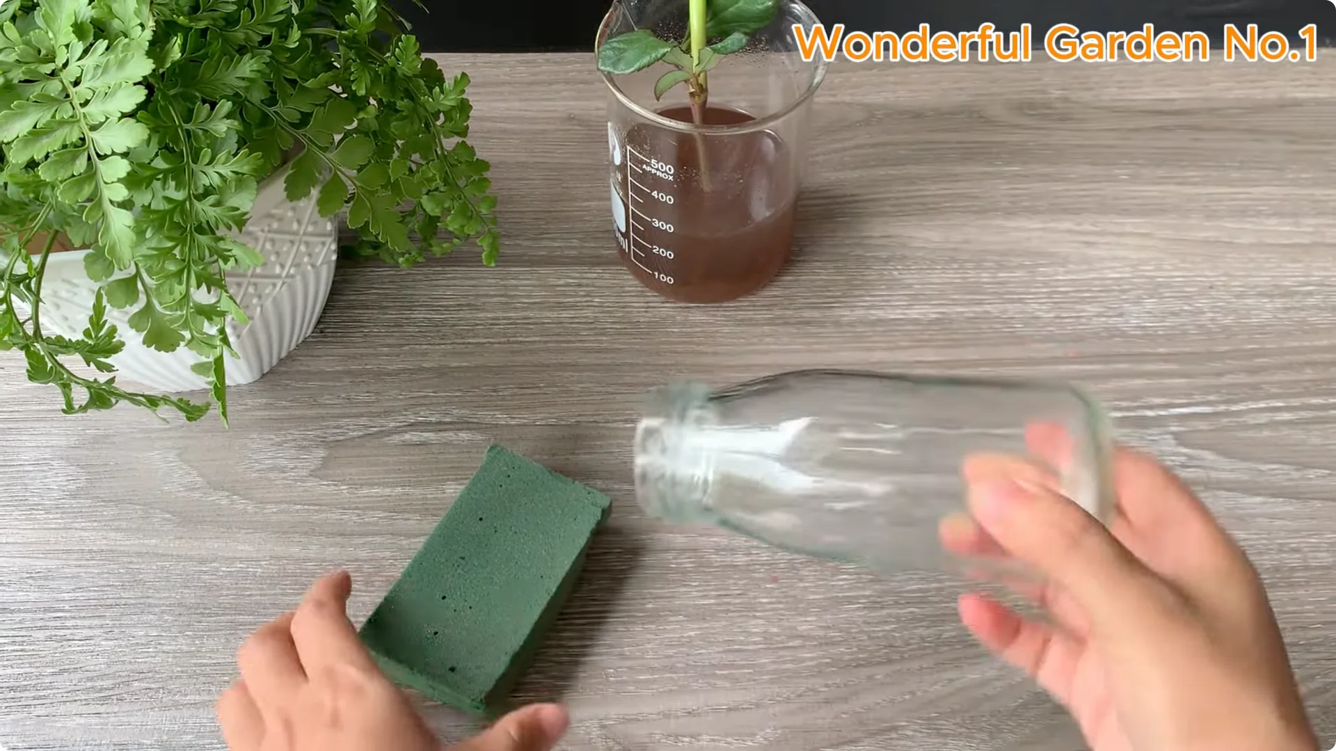 Propagate Roses with Bananas: 3 Easy Steps to Try Today screenshot 4