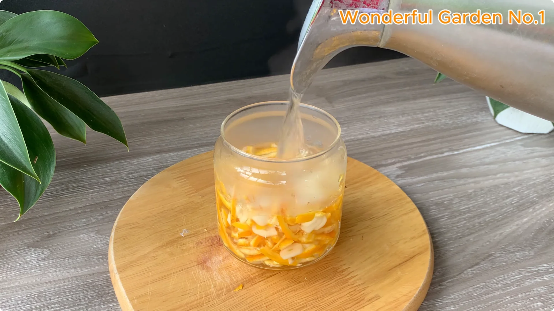 What Happens When You Dip a Rose Stem in This Mix? screenshot 4