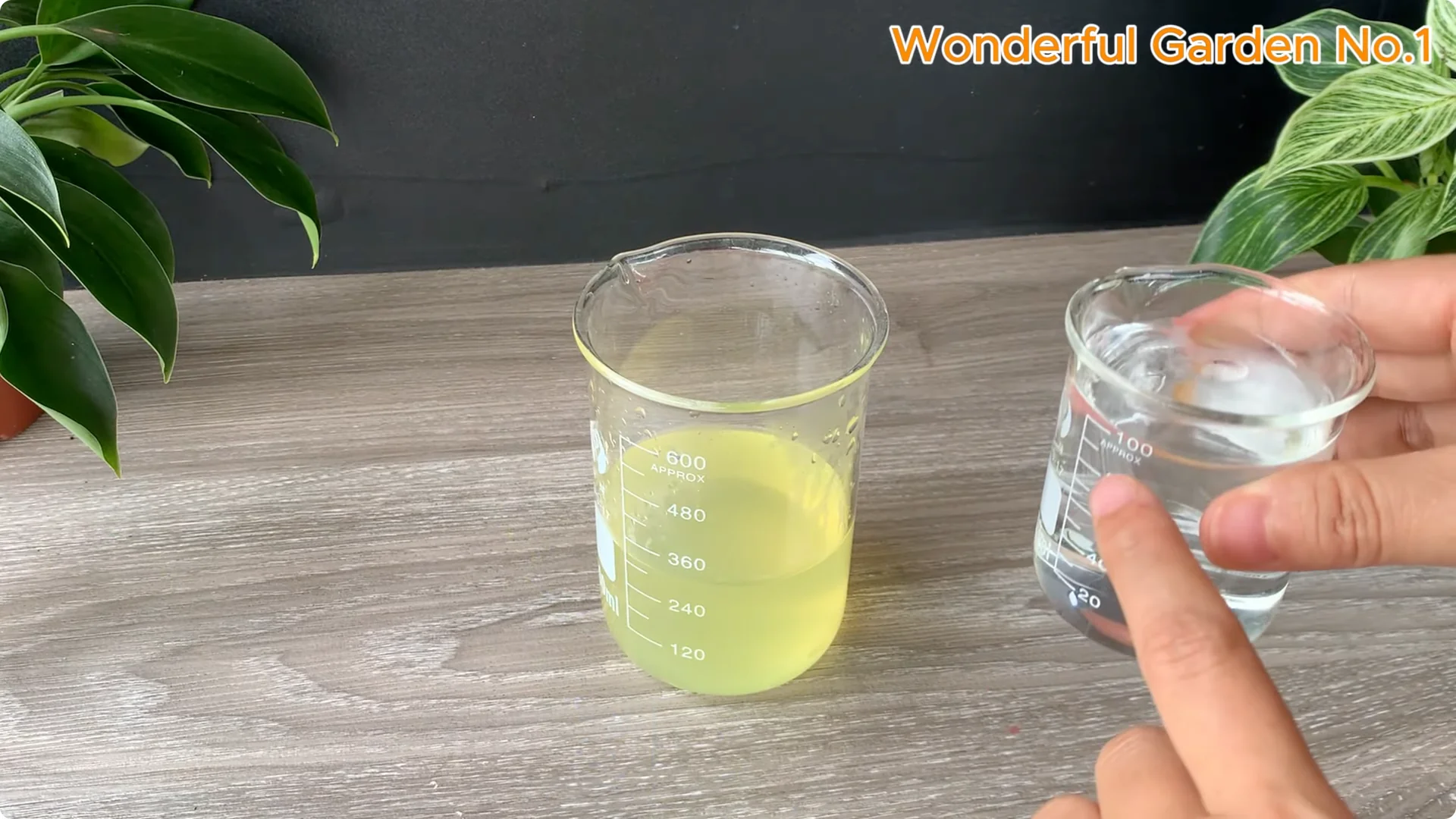 What Happens When You Dip a Rose Stem in This Mix? screenshot 6