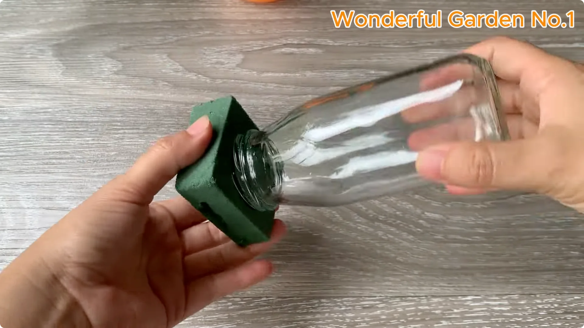 What Happens When You Soak a Rose Branch in Carrot Juice Overnight? screenshot 13