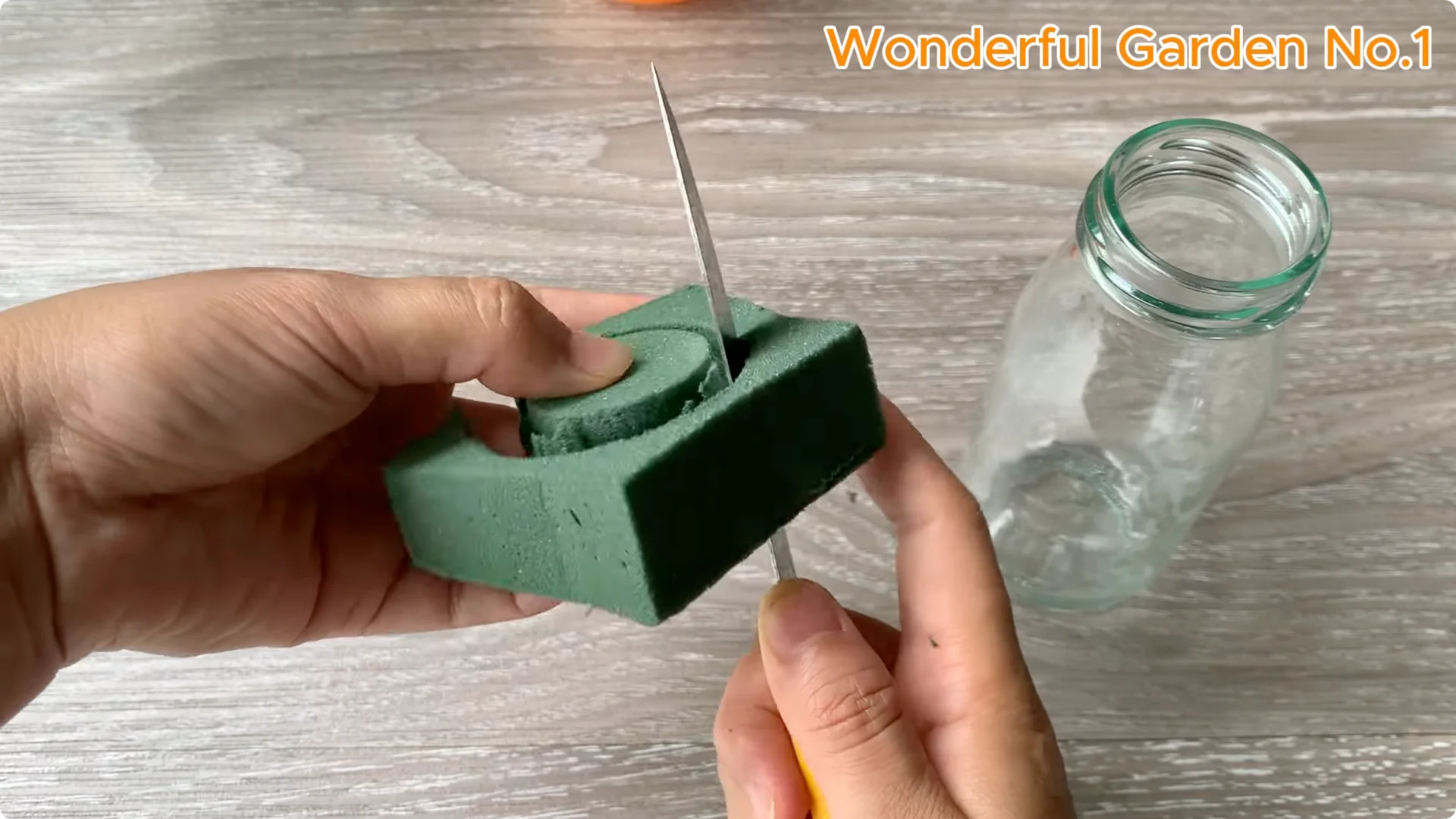 What Happens When You Soak a Rose Branch in Carrot Juice Overnight? screenshot 14