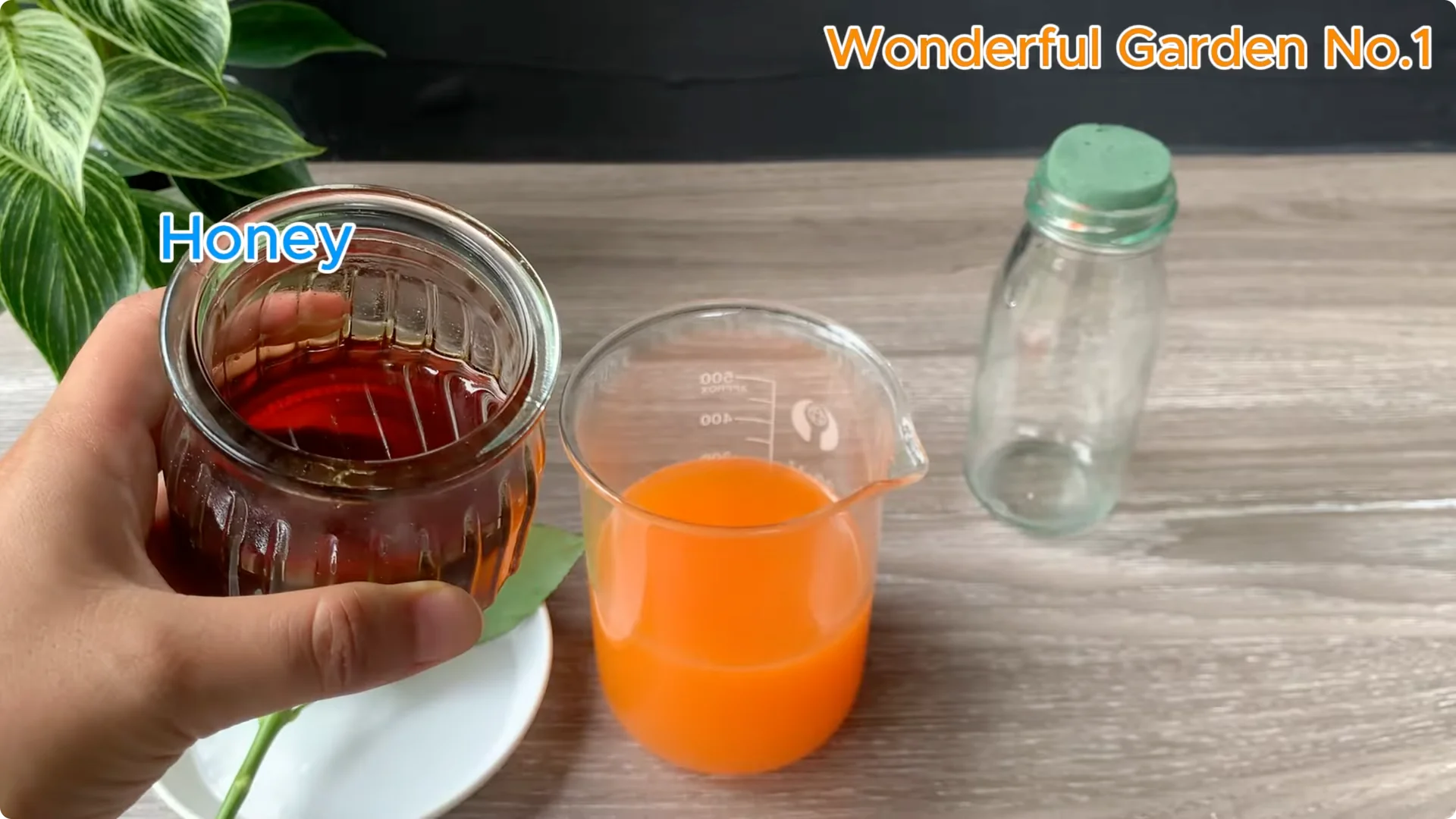 What Happens When You Soak a Rose Branch in Carrot Juice Overnight? screenshot 15