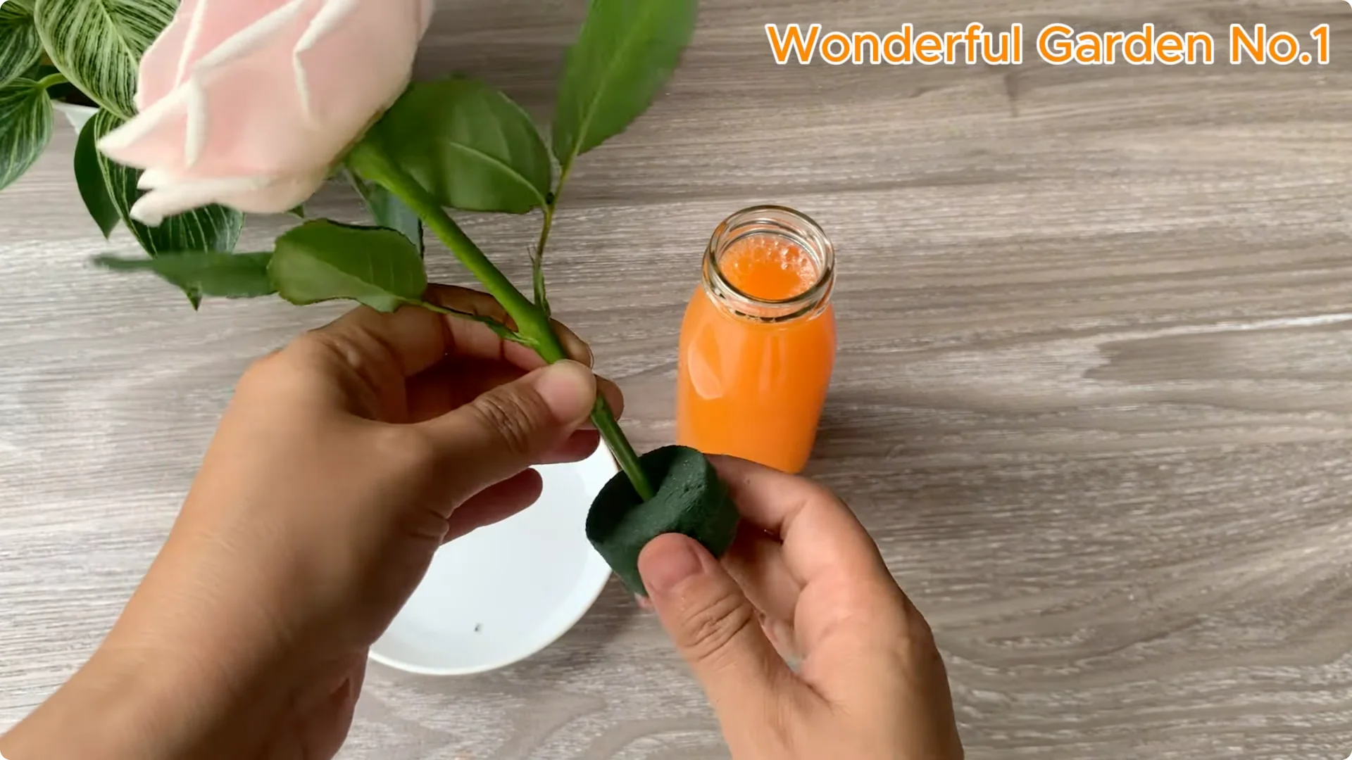 What Happens When You Soak a Rose Branch in Carrot Juice Overnight? screenshot 16