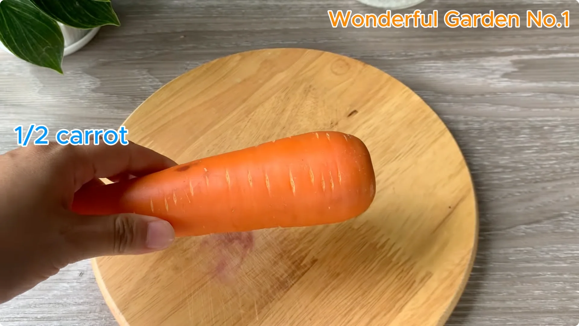What Happens When You Soak a Rose Branch in Carrot Juice Overnight? screenshot 2