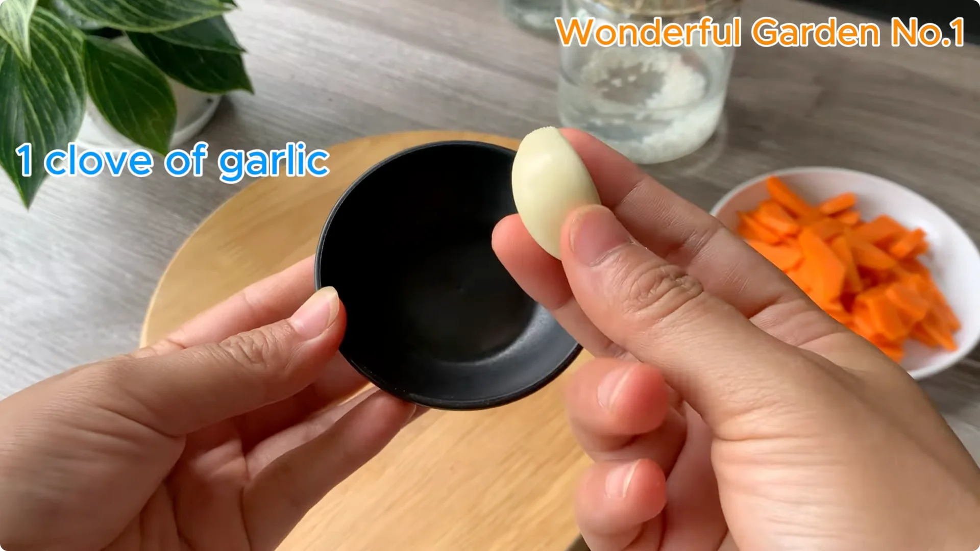 What Happens When You Soak a Rose Branch in Carrot Juice Overnight? screenshot 3