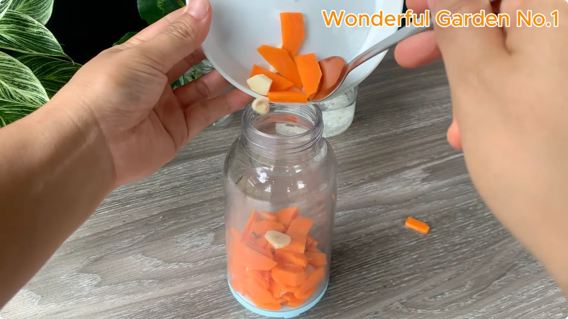 What Happens When You Soak a Rose Branch in Carrot Juice Overnight? screenshot 4