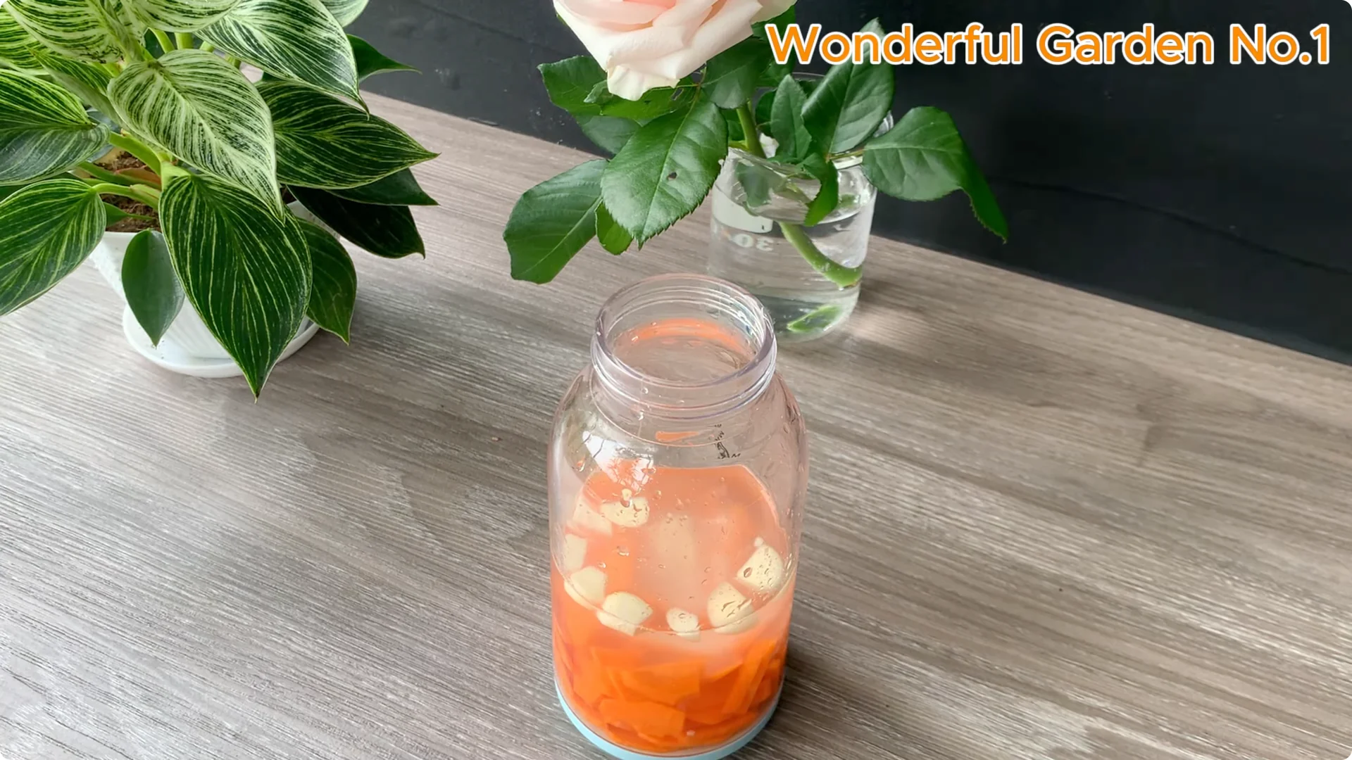 What Happens When You Soak a Rose Branch in Carrot Juice Overnight? screenshot 5